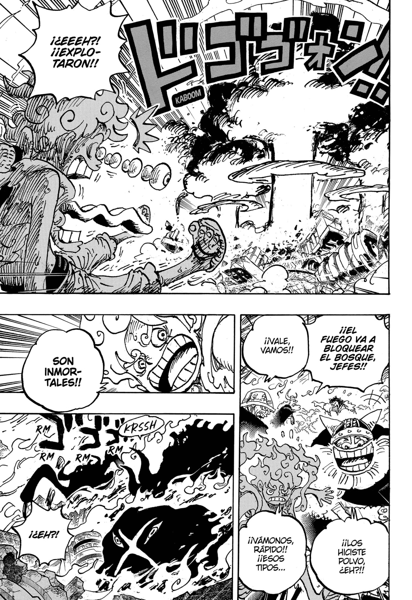 One Piece Capitulo 1111 página 18