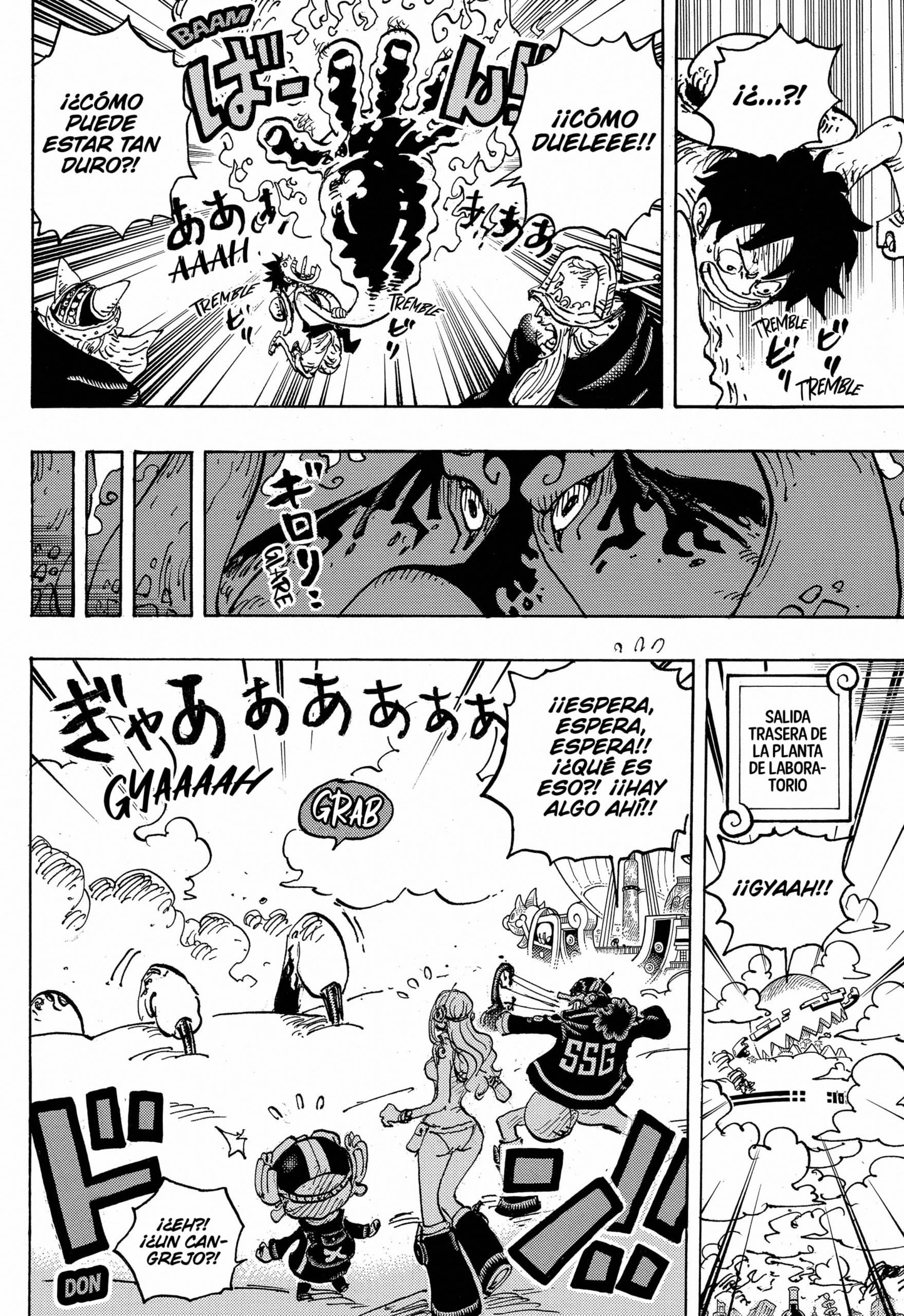 One Piece Capitulo 1112 página 16