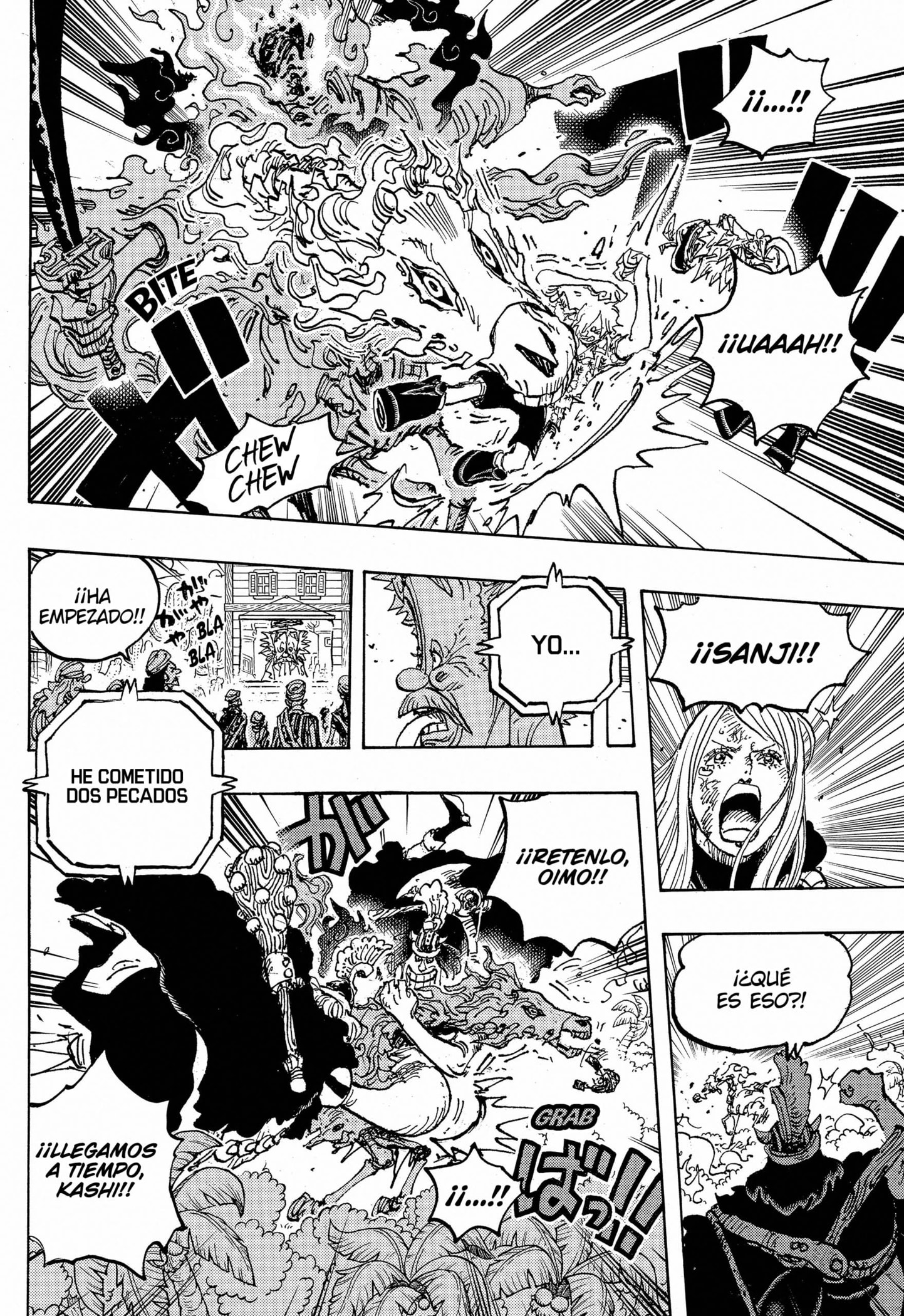 One Piece Capitulo 1113 página 13