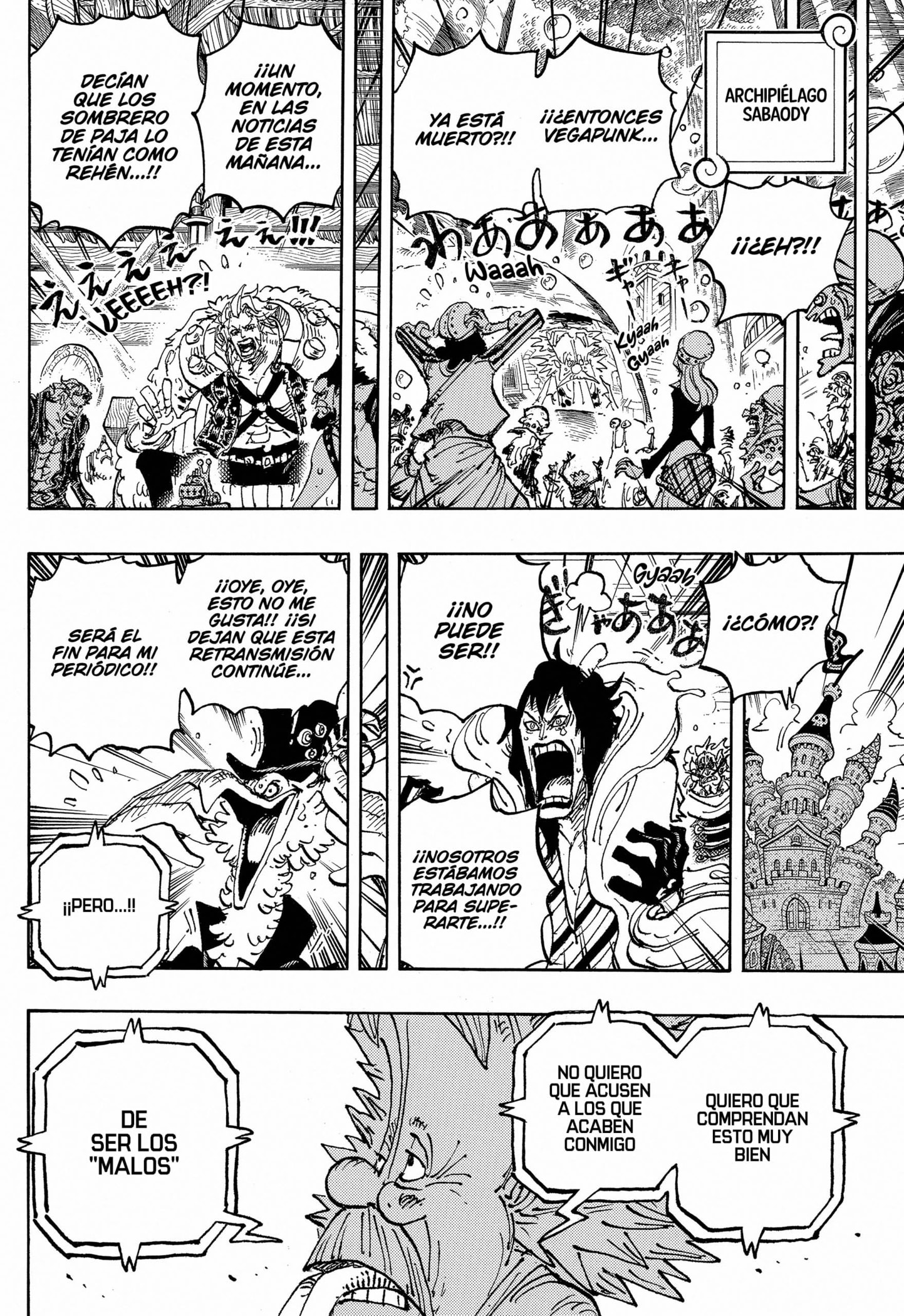 One Piece Capitulo 1113 página 15