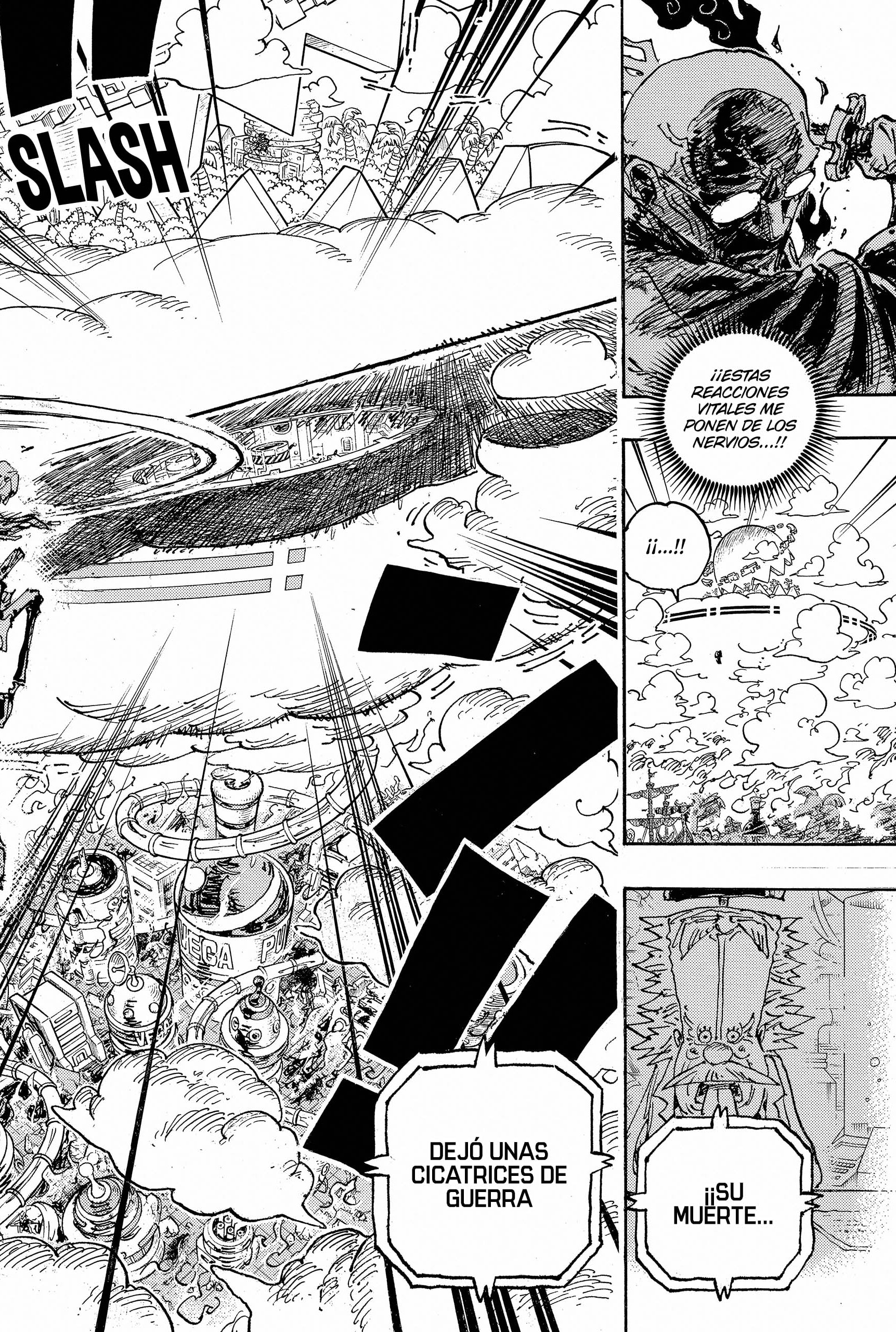 One Piece Capitulo 1115 página 10