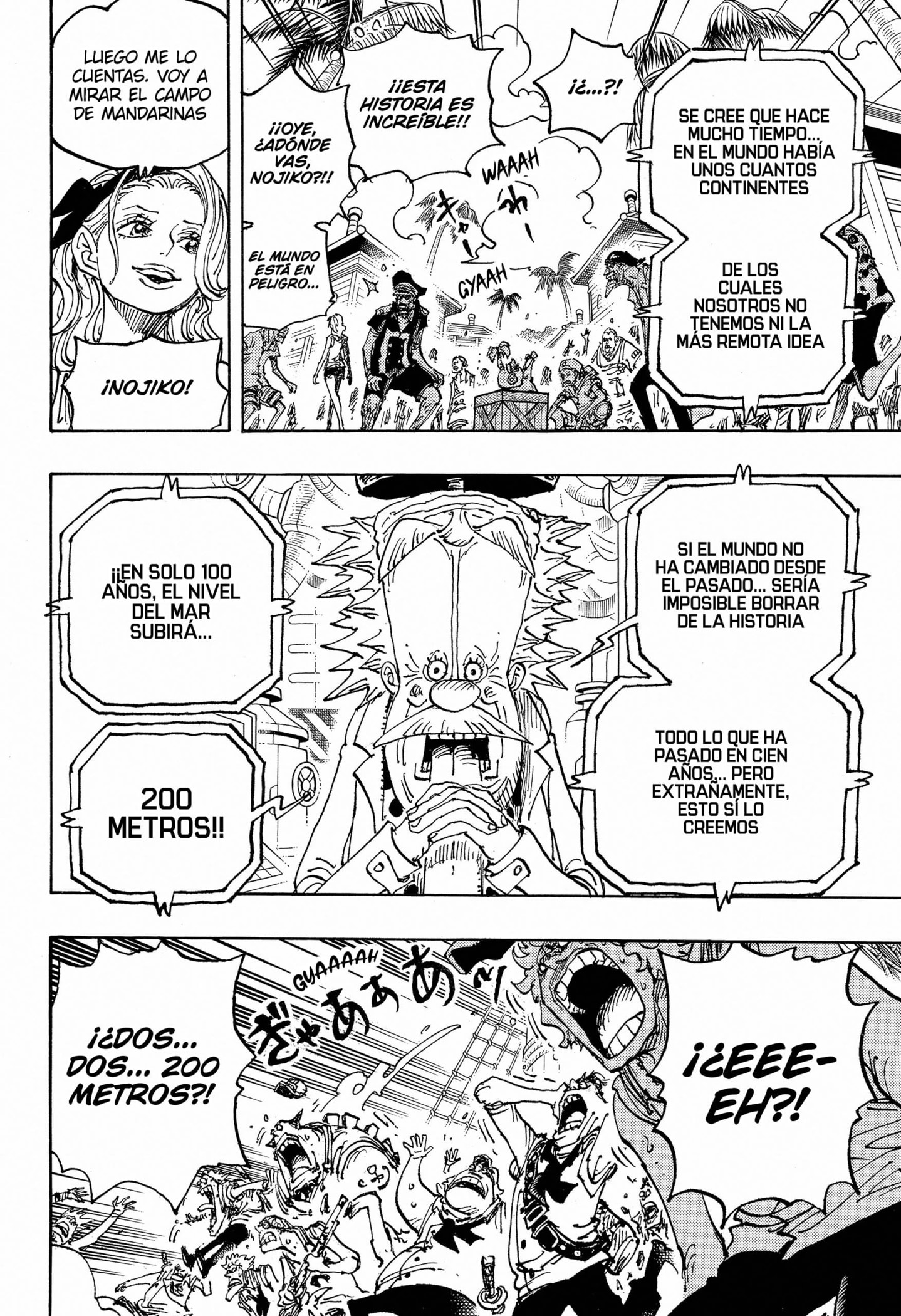 One Piece Capitulo 1115 página 14