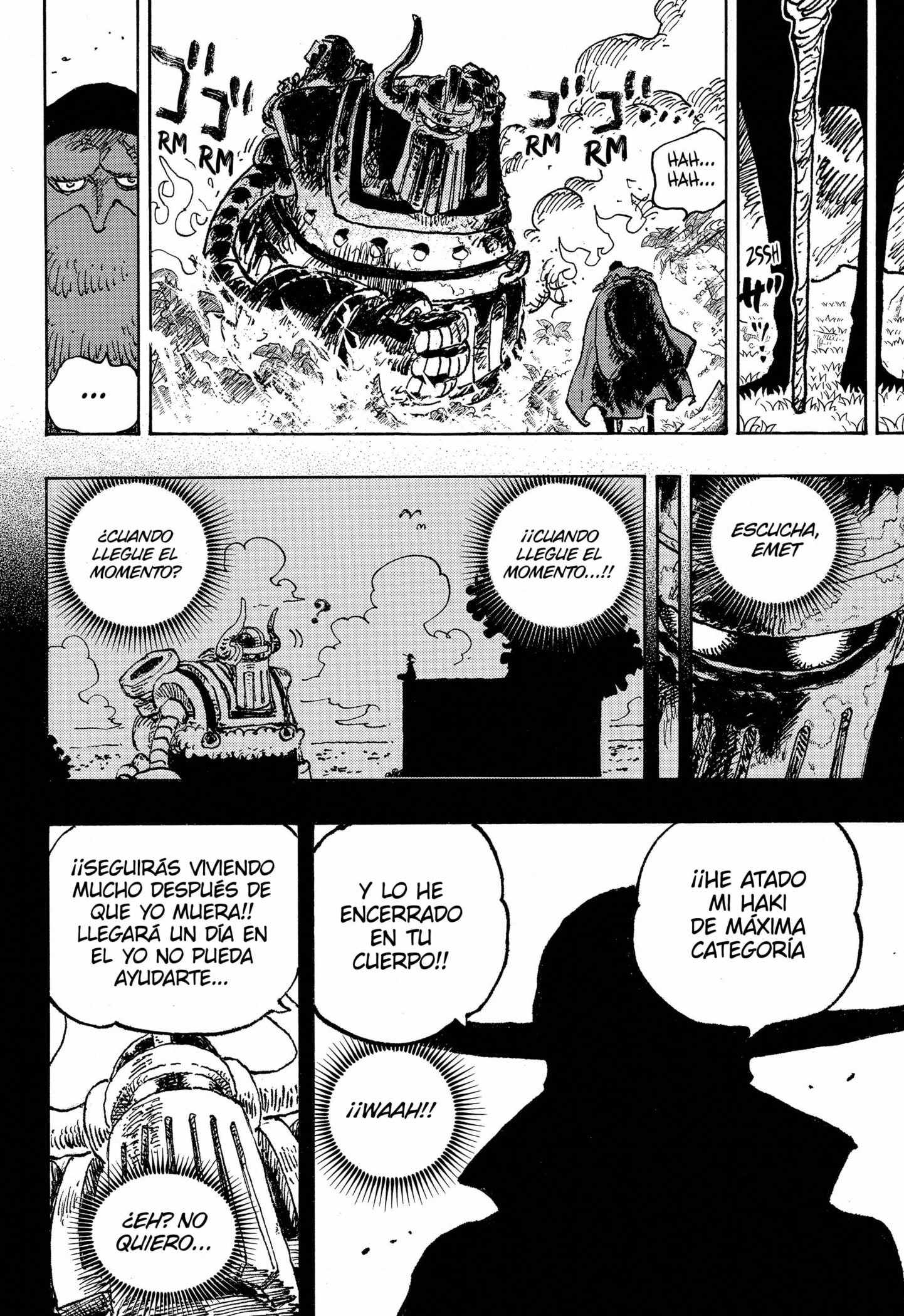 One Piece Capitulo 1122 página 12