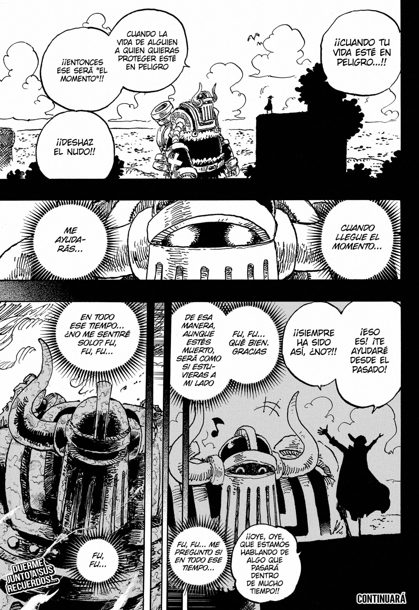 One Piece Capitulo 1122 página 13