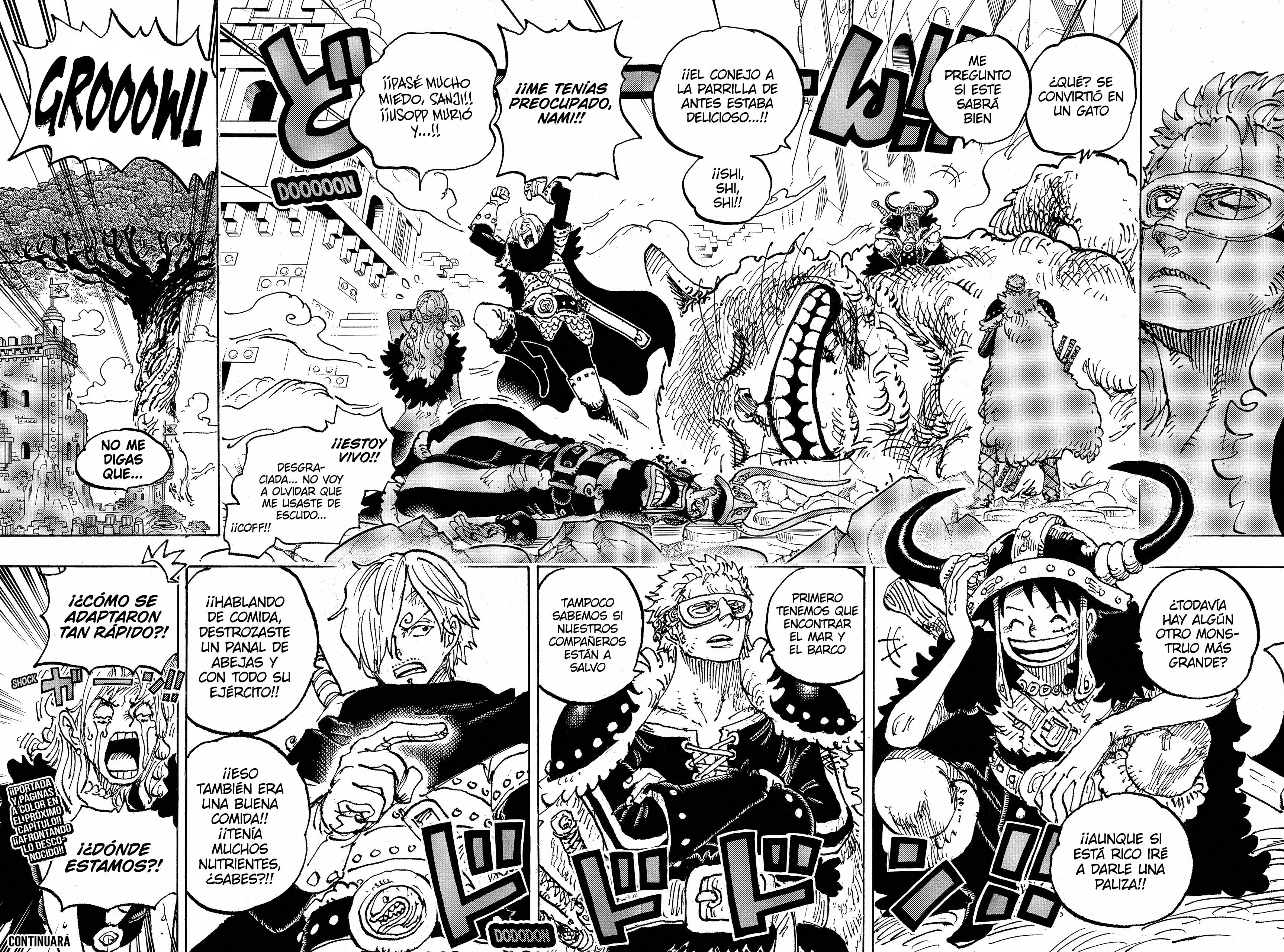 One Piece Capitulo 1127 página 13