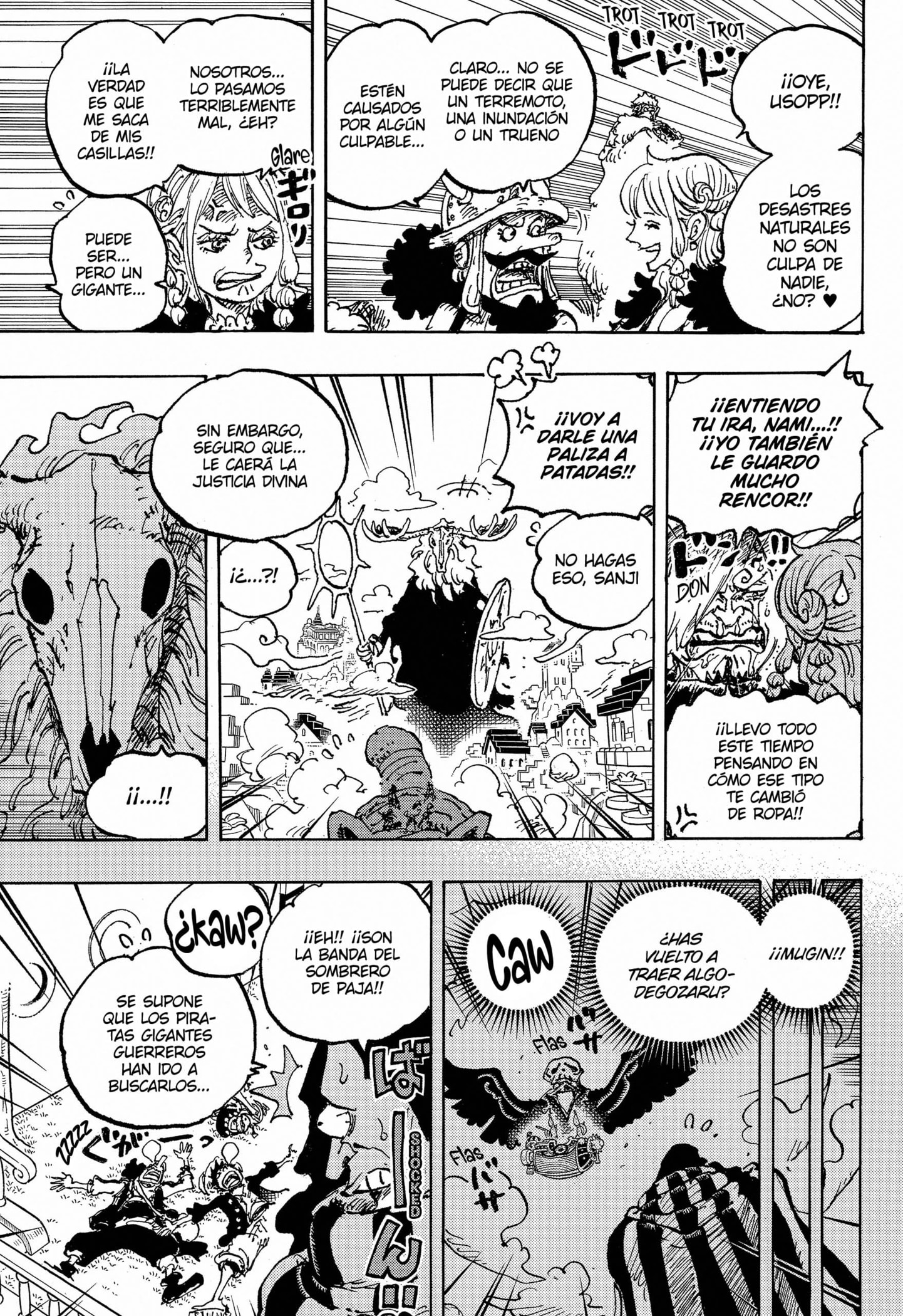 One Piece Capitulo 1129 página 12