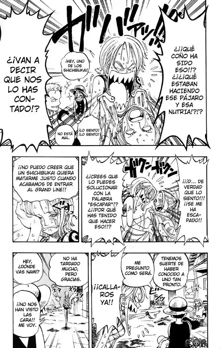 One Piece Capitulo 113 página 11