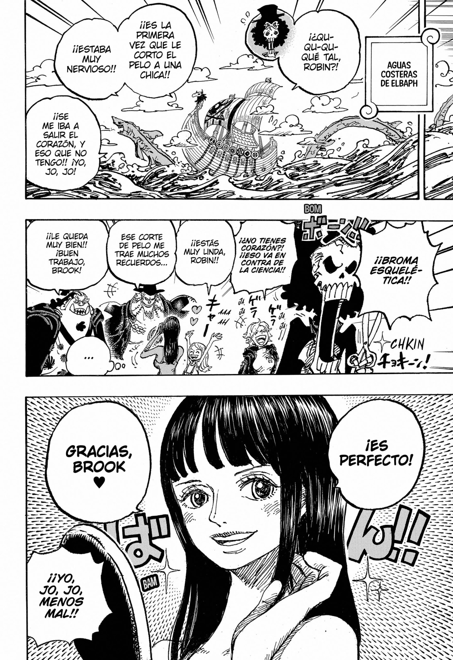 One Piece Capitulo 1131 página 13