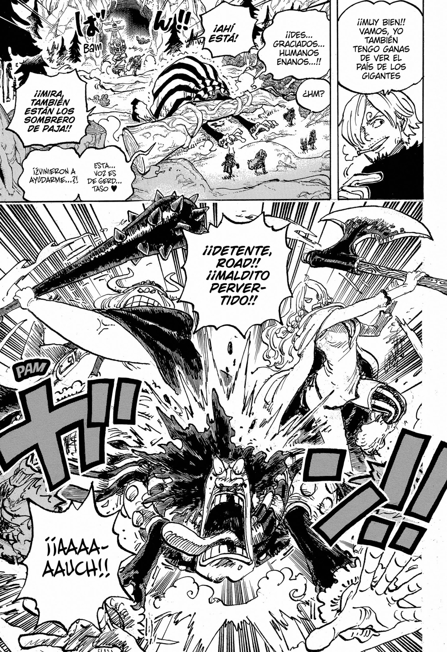 One Piece Capitulo 1132 página 10