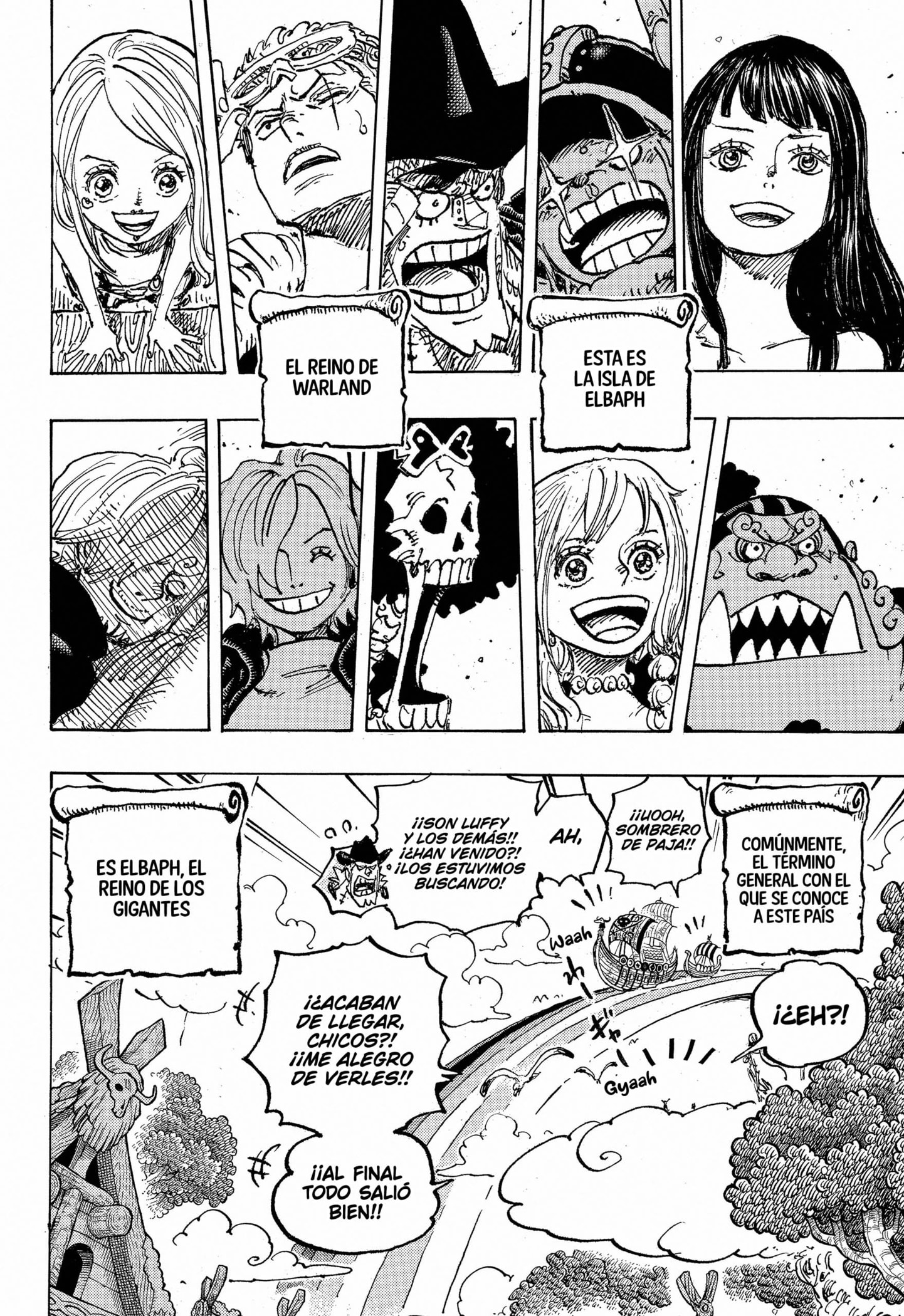 One Piece Capitulo 1132 página 14