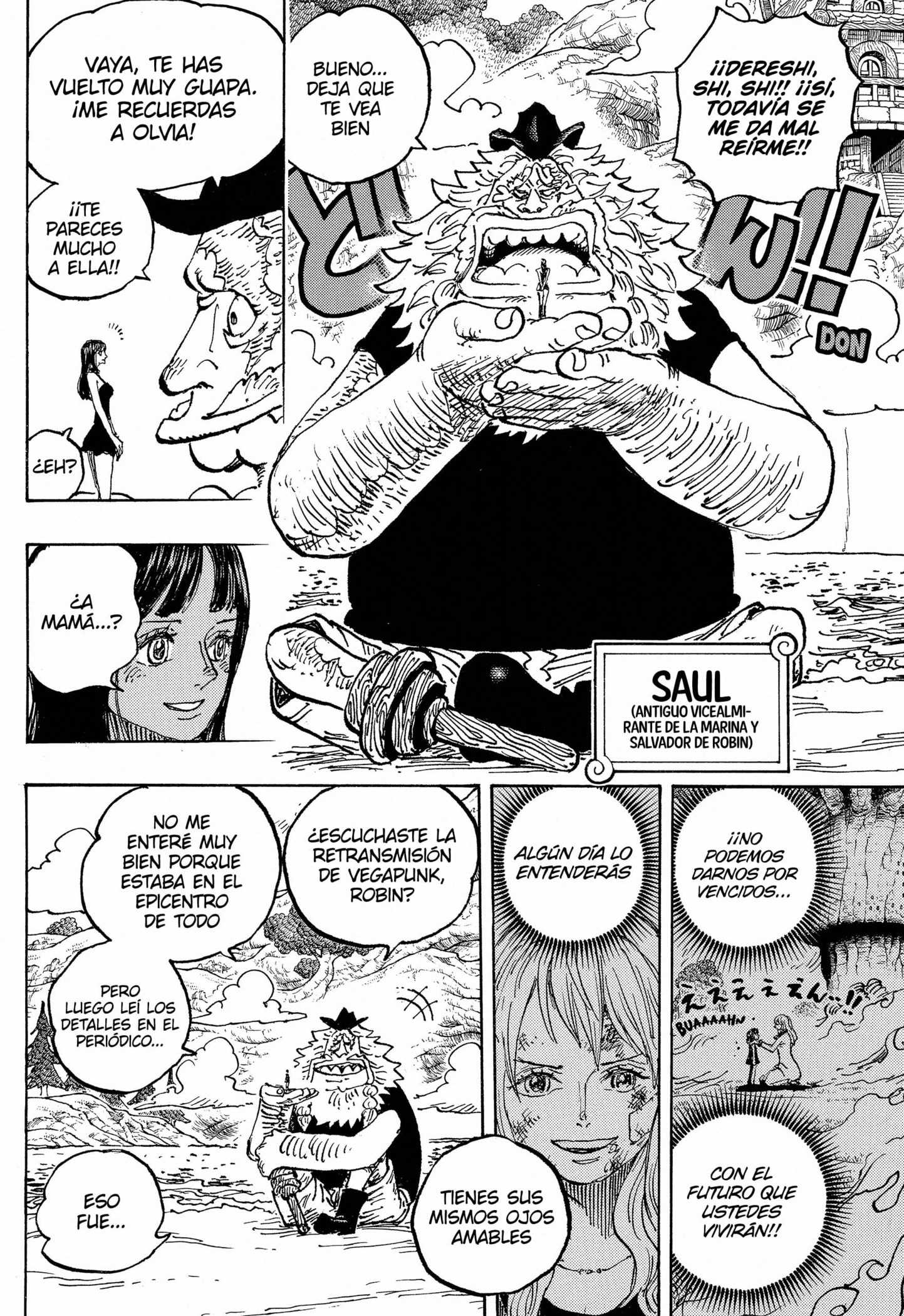 One Piece Capitulo 1133 página 12