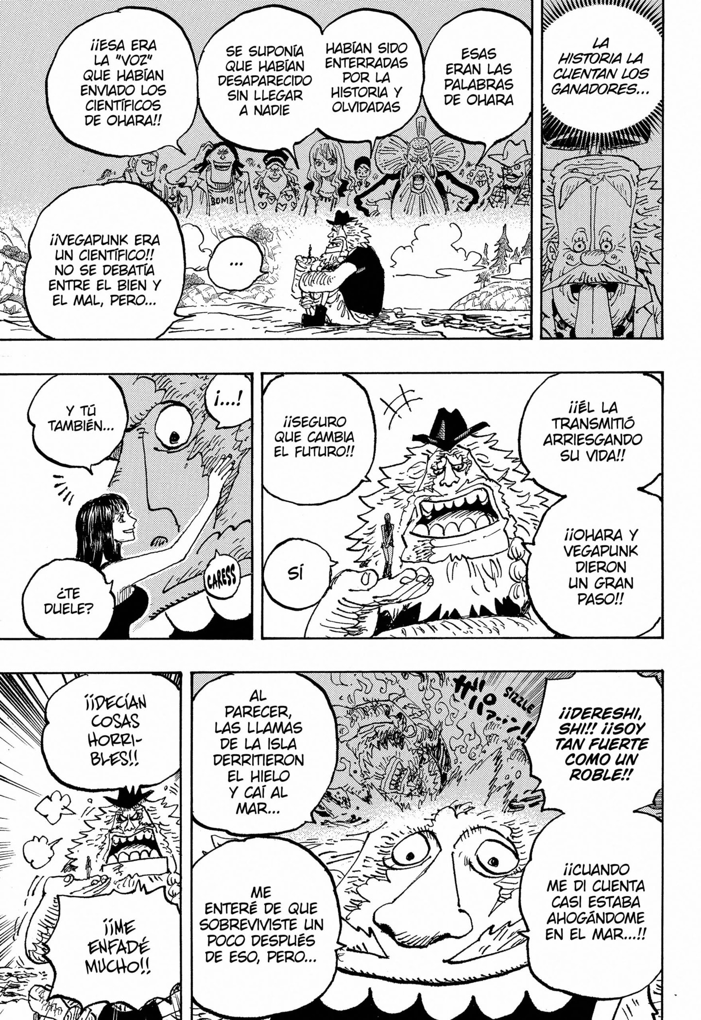 One Piece Capitulo 1133 página 13