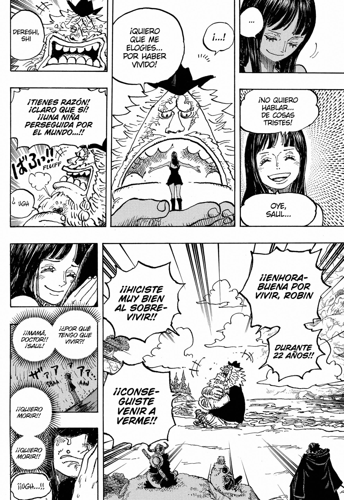 One Piece Capitulo 1133 página 14