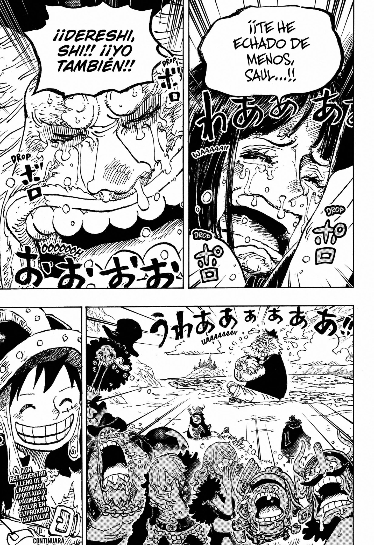 One Piece Capitulo 1133 página 15