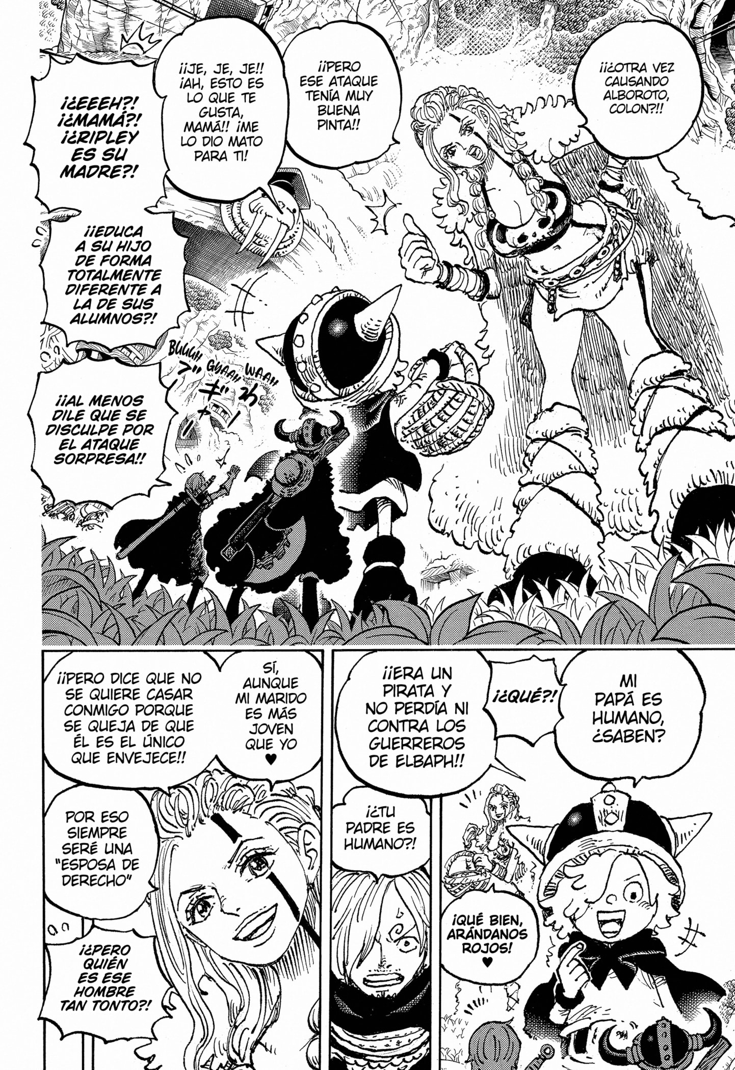 One Piece Capitulo 1135 página 8