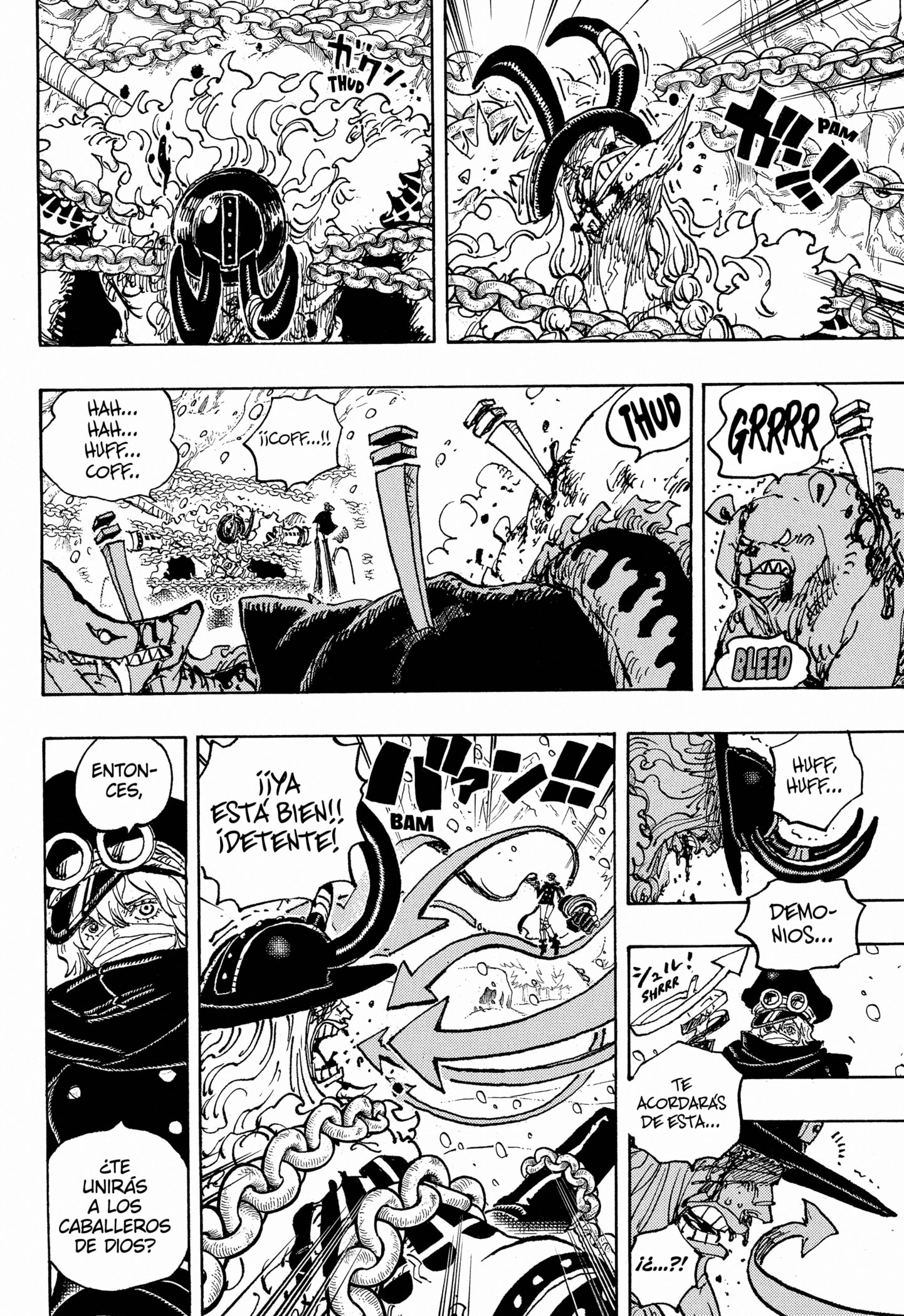 One Piece Capitulo 1137 página 13