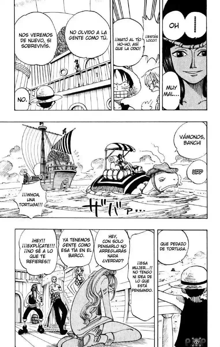 One Piece Capitulo 114 página 17