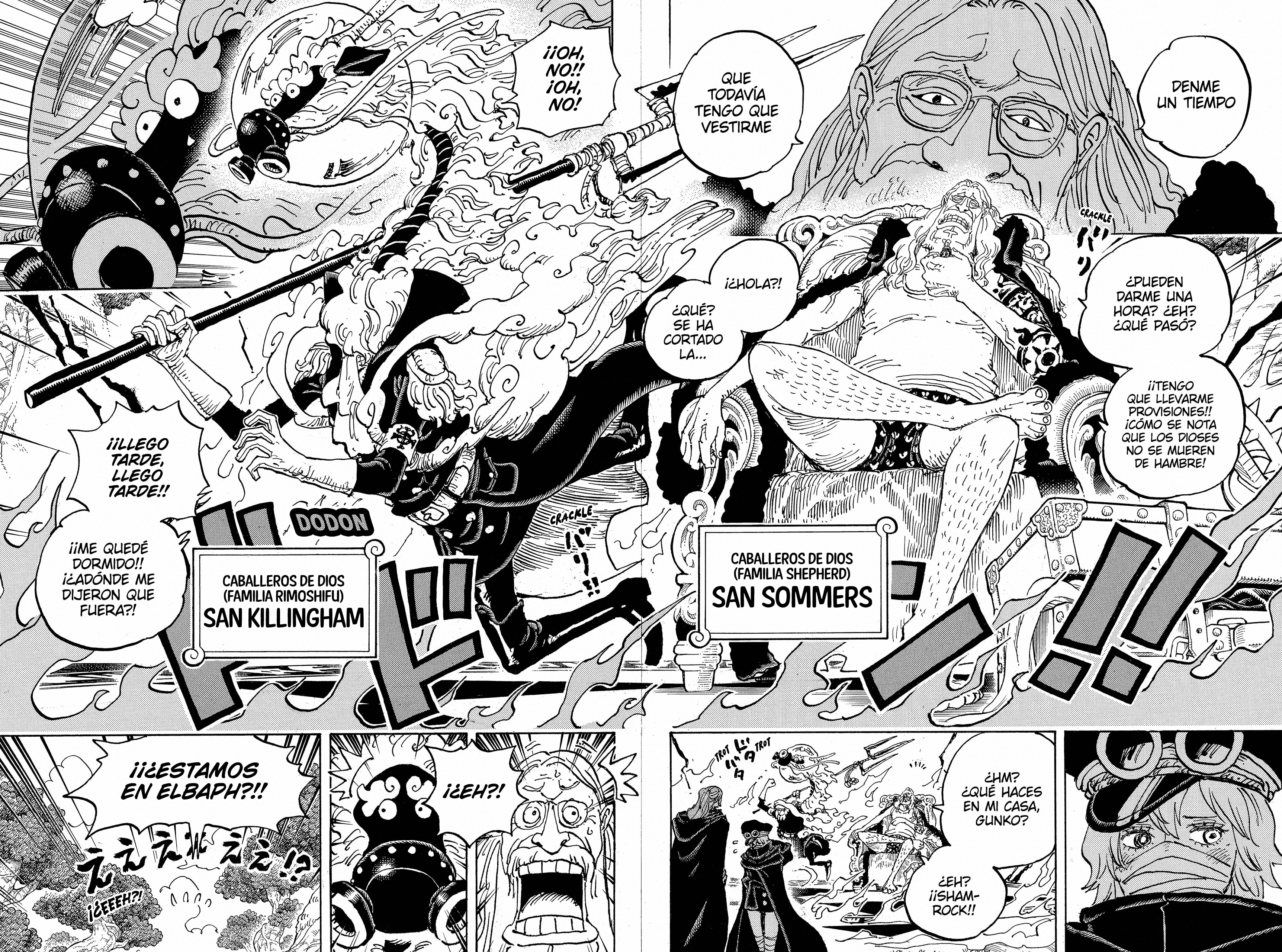 One Piece Capitulo 1140 página 13