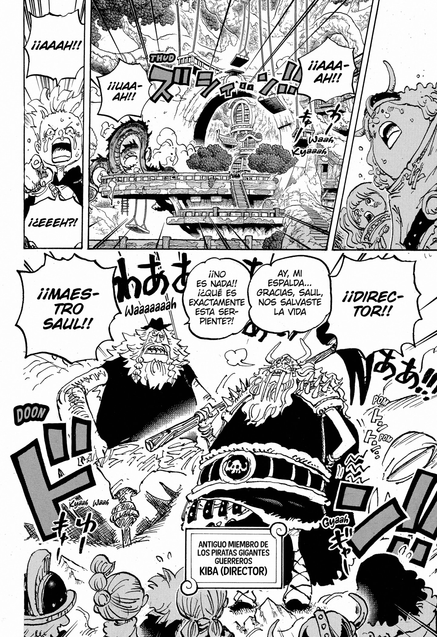 One Piece Capitulo 1142 página 5