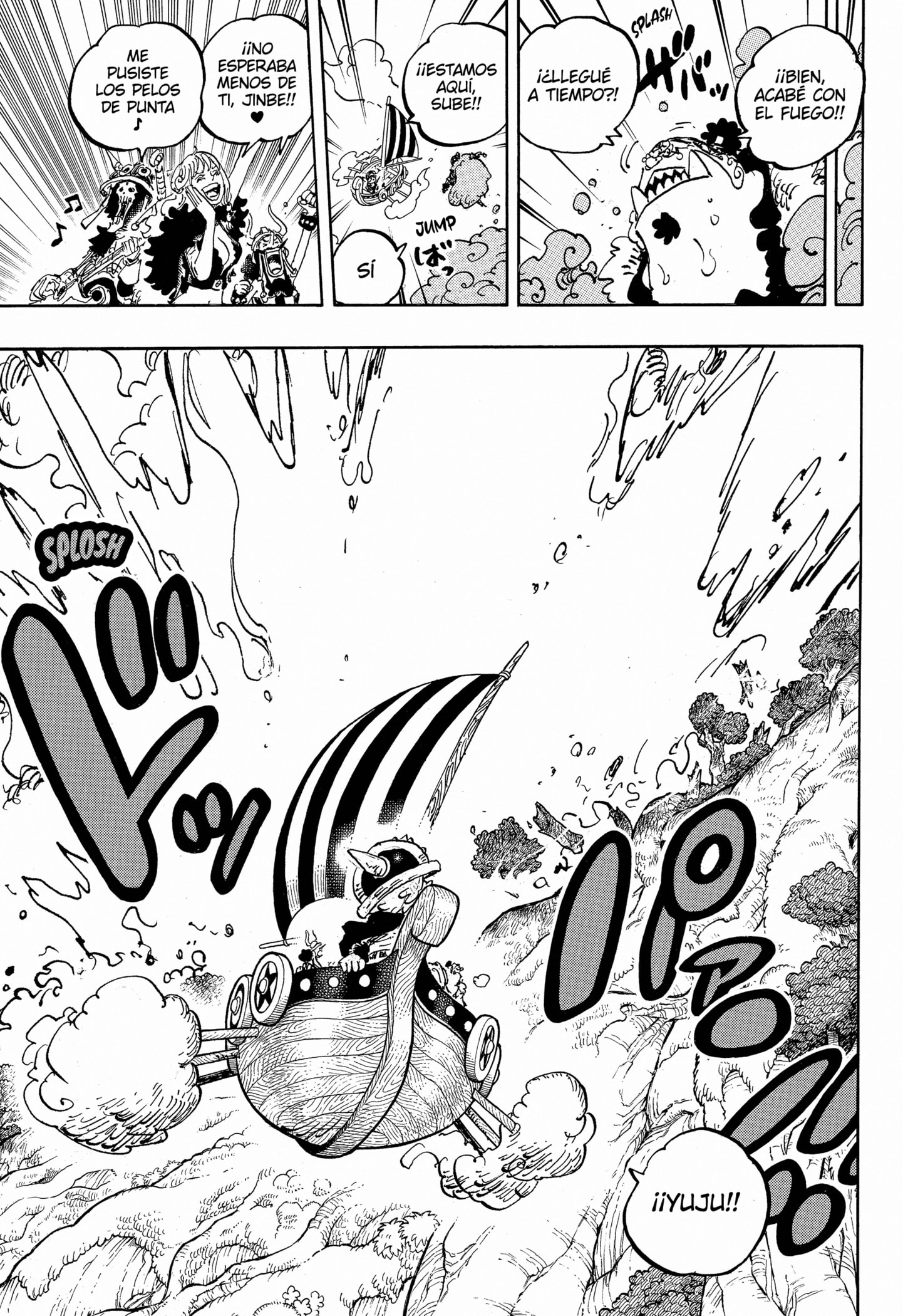 One Piece Capitulo 1145 página 14