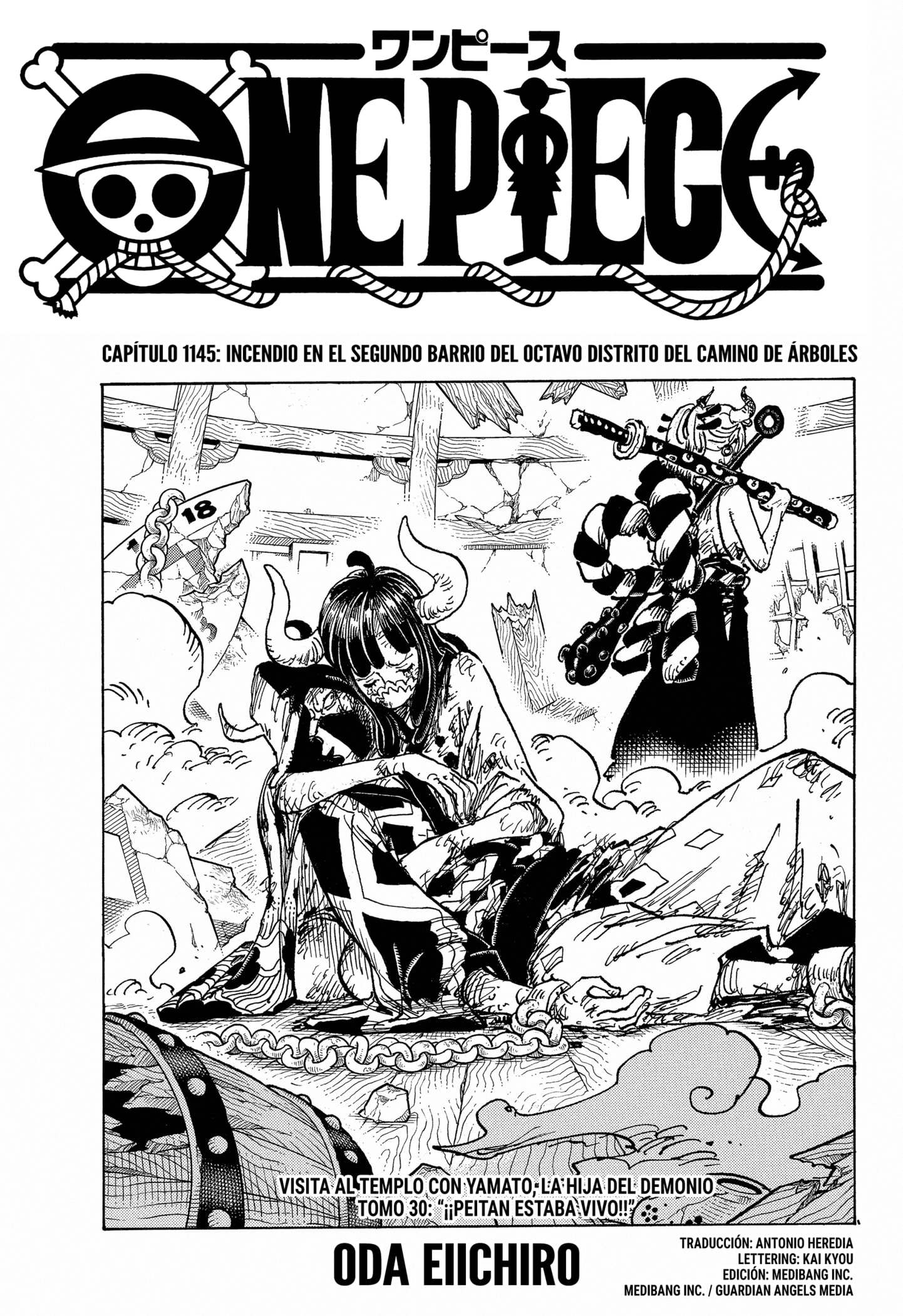 One Piece Capitulo 1145 página 2