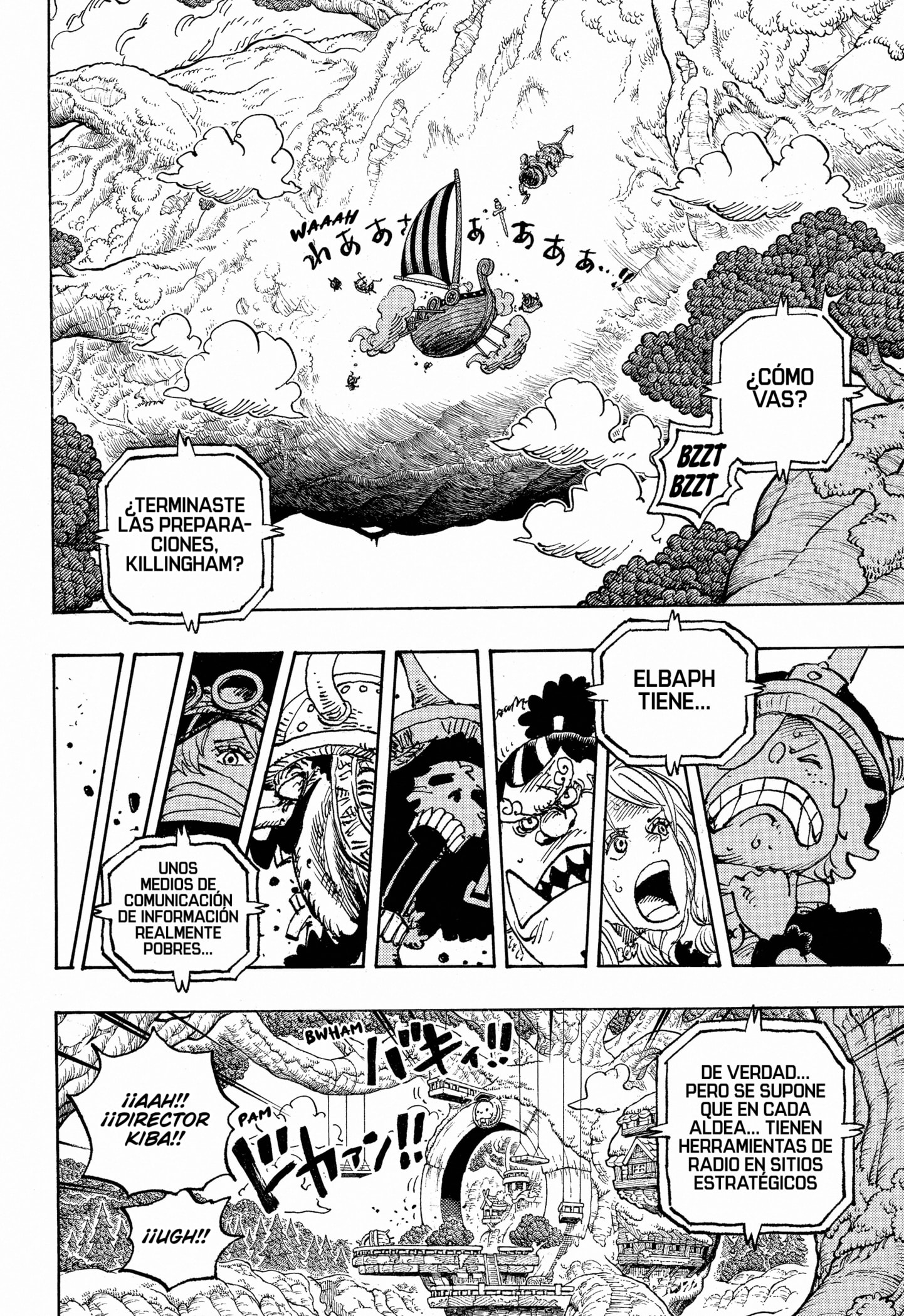 One Piece Capitulo 1146 página 13