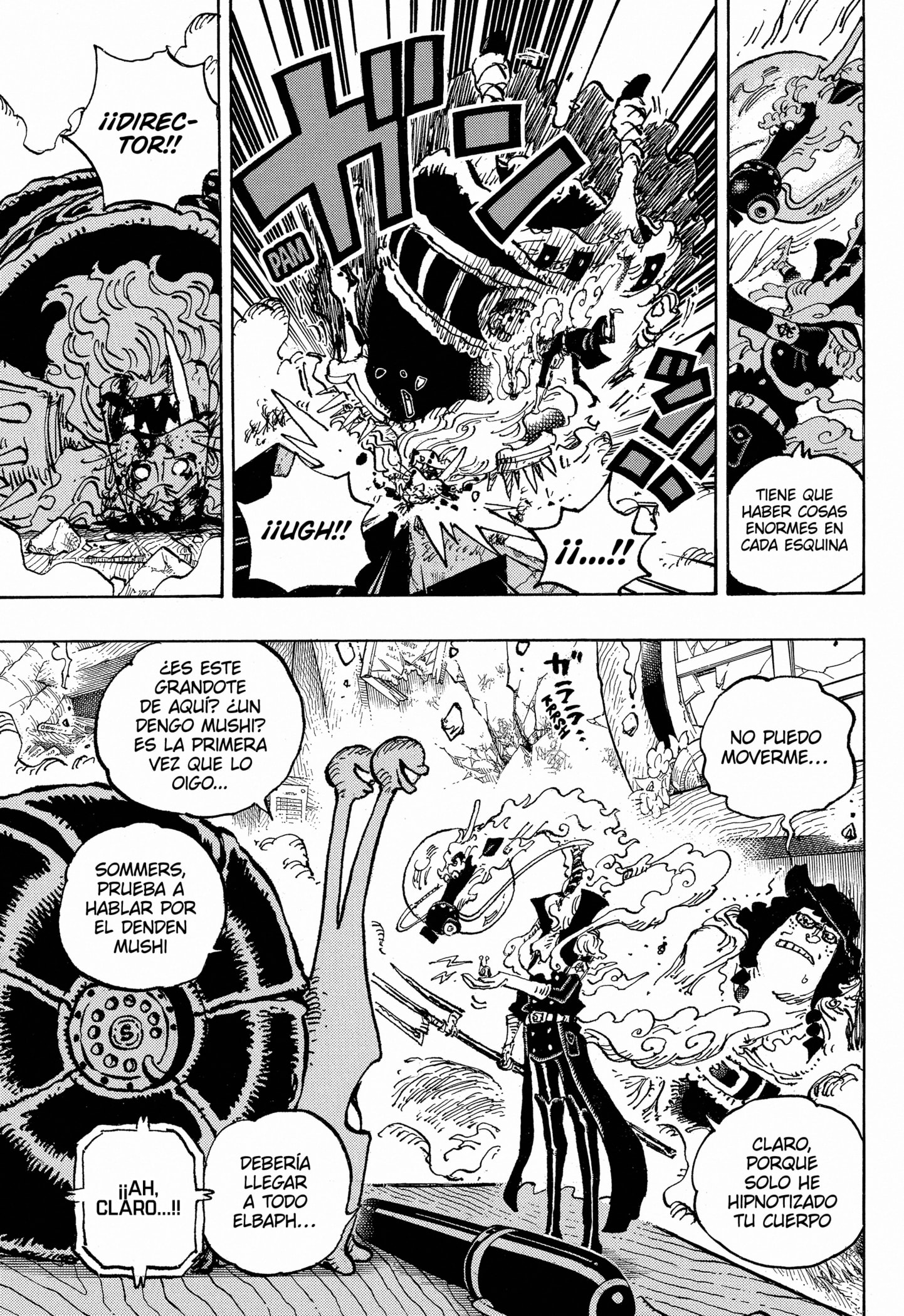 One Piece Capitulo 1146 página 14