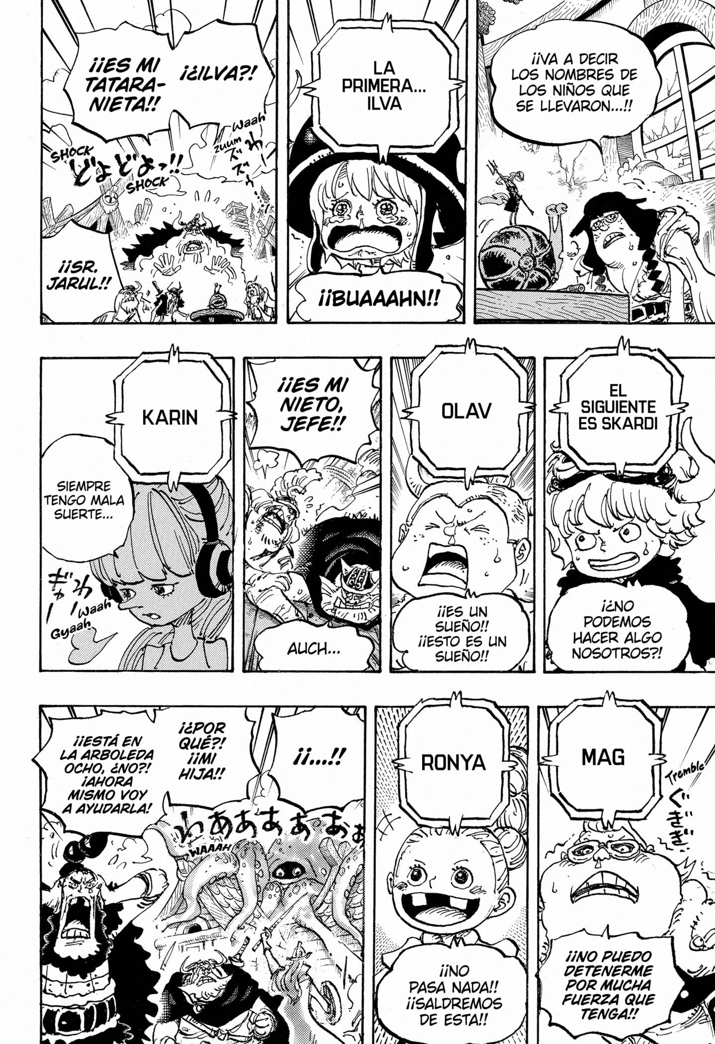One Piece Capitulo 1147 página 13