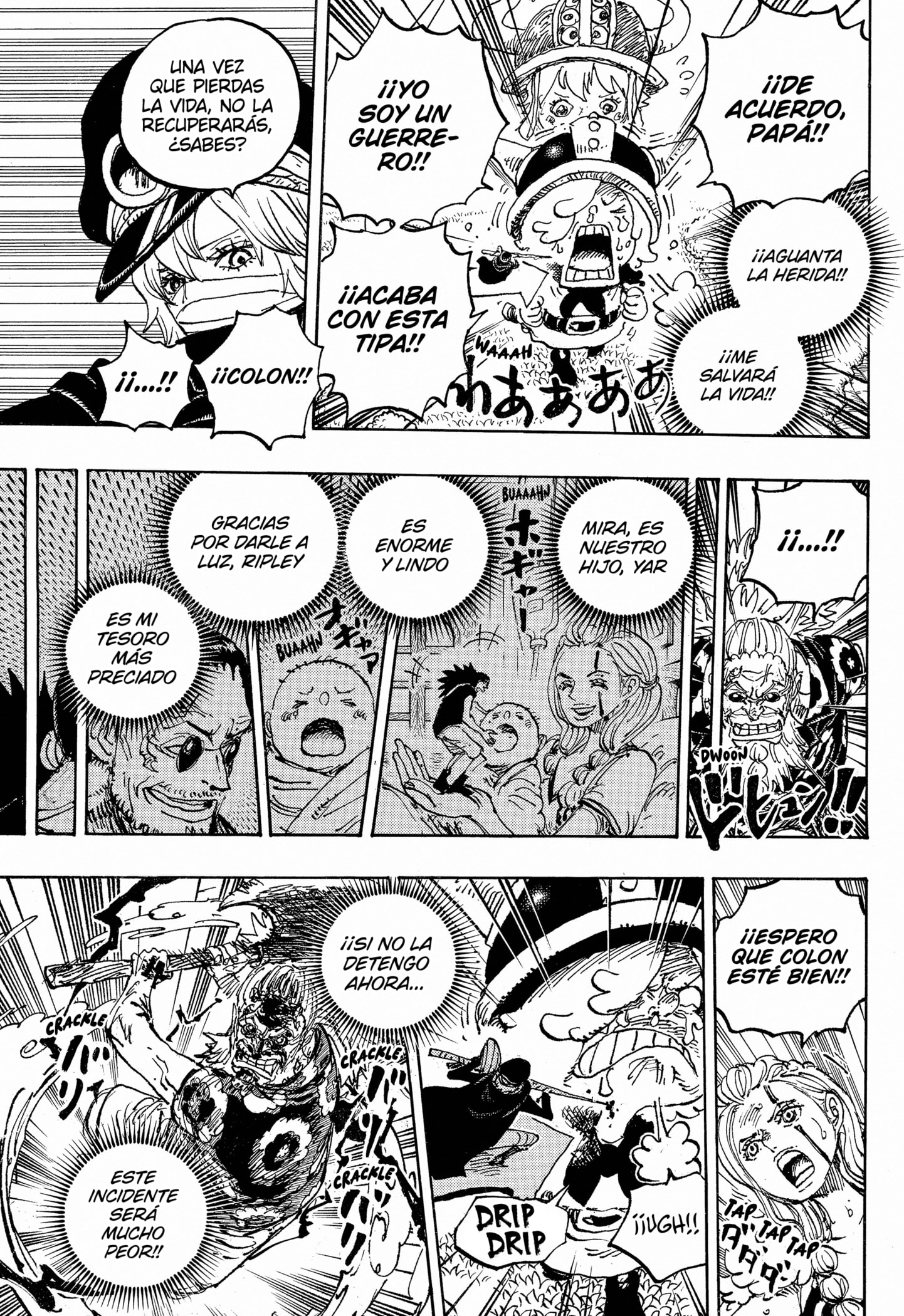 One Piece Capitulo 1149 página 13