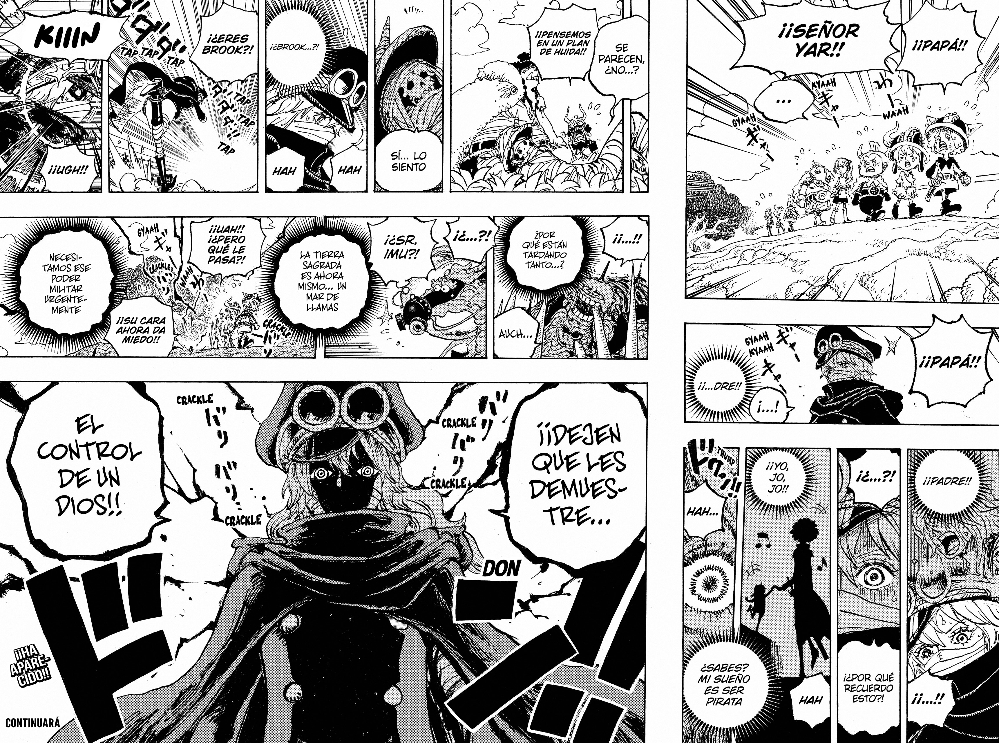 One Piece Capitulo 1149 página 15
