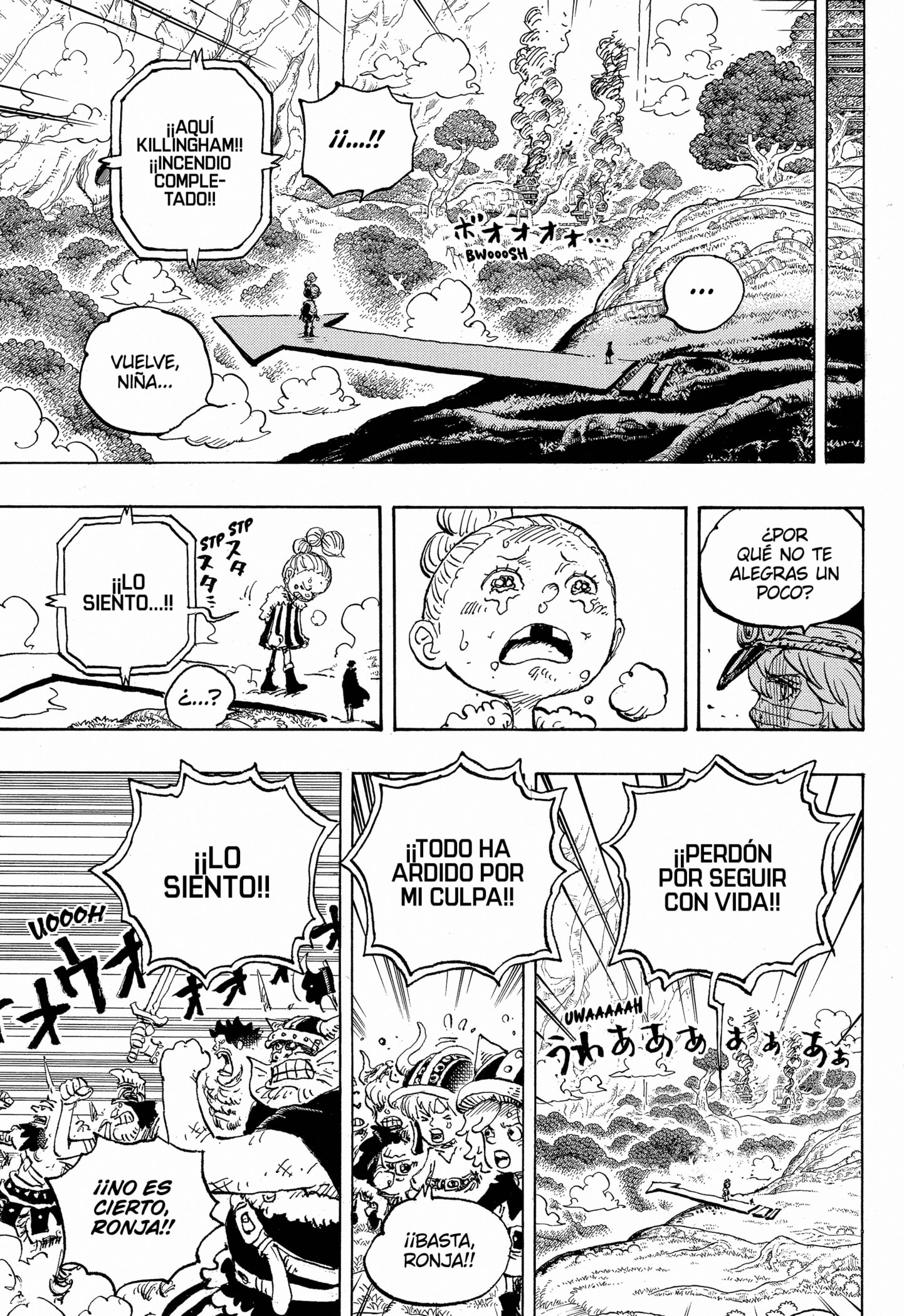 One Piece Capitulo 1149 página 9