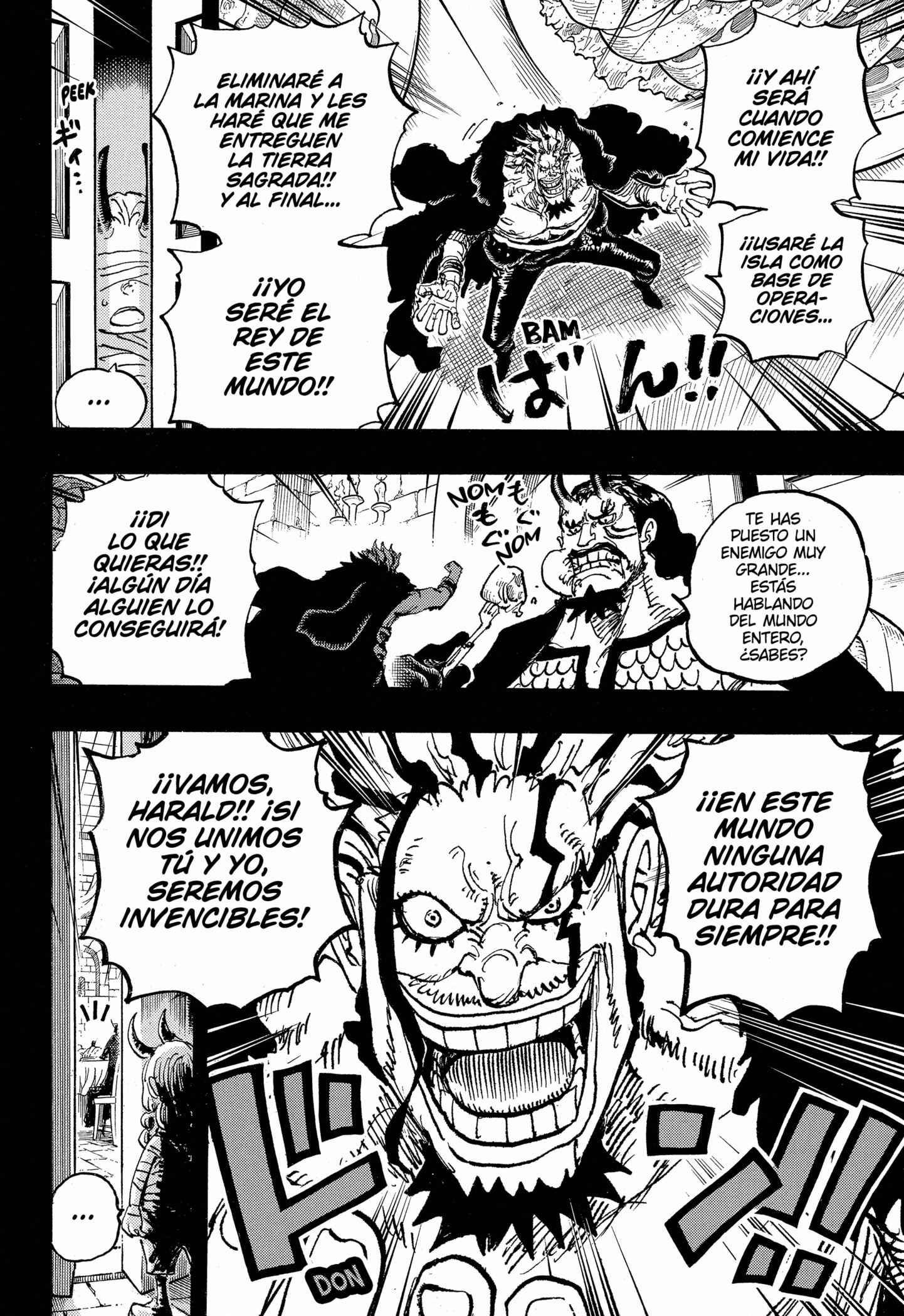 One Piece Capitulo 1155 página 13