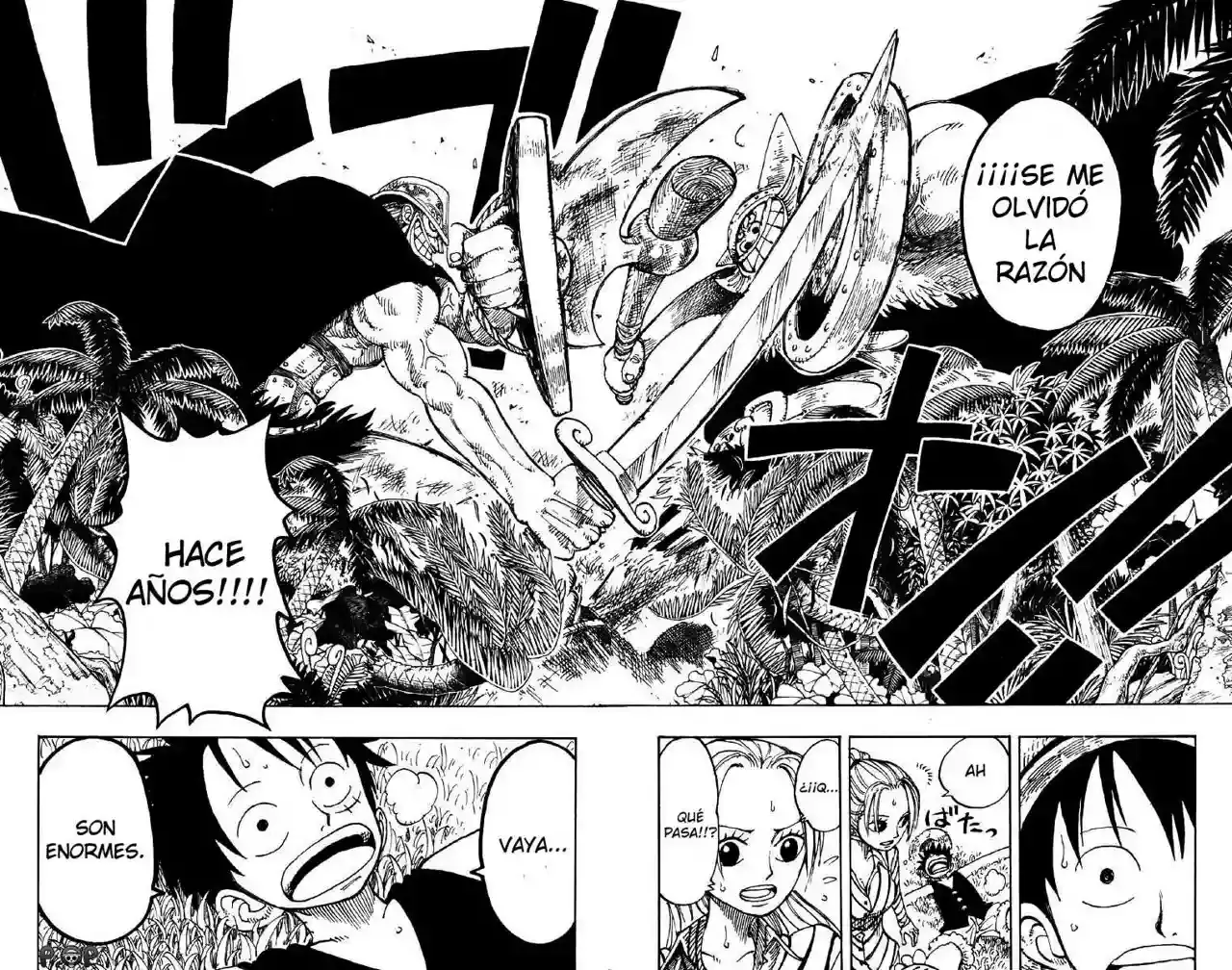 One Piece Capitulo 116 página 18