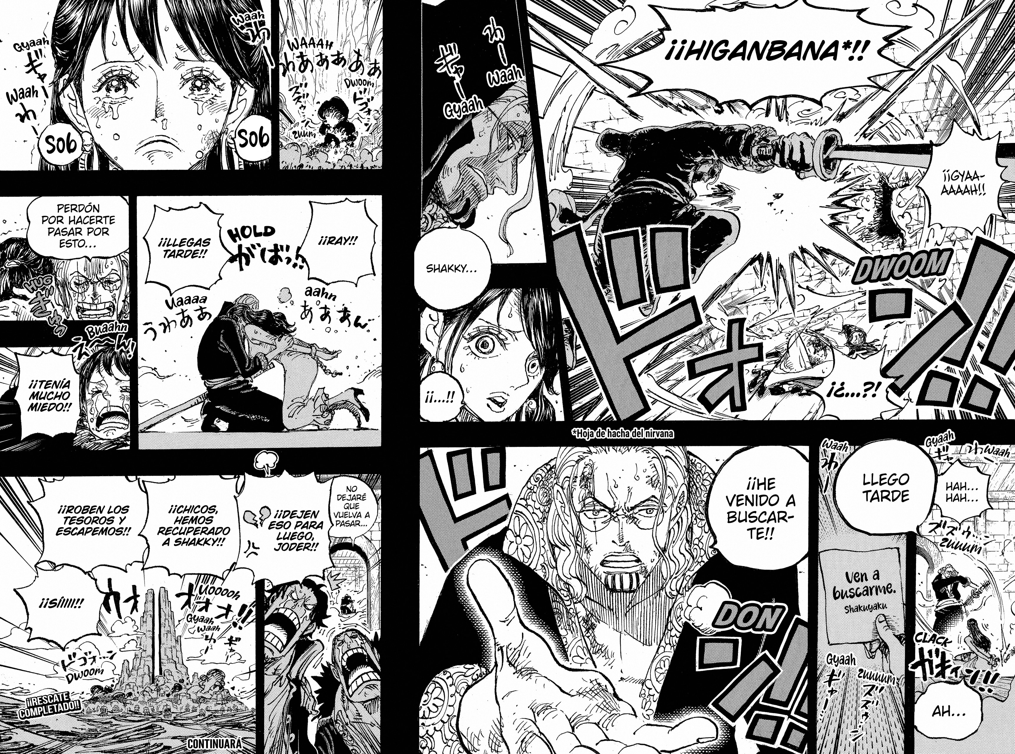 One Piece Capitulo 1161 página 15