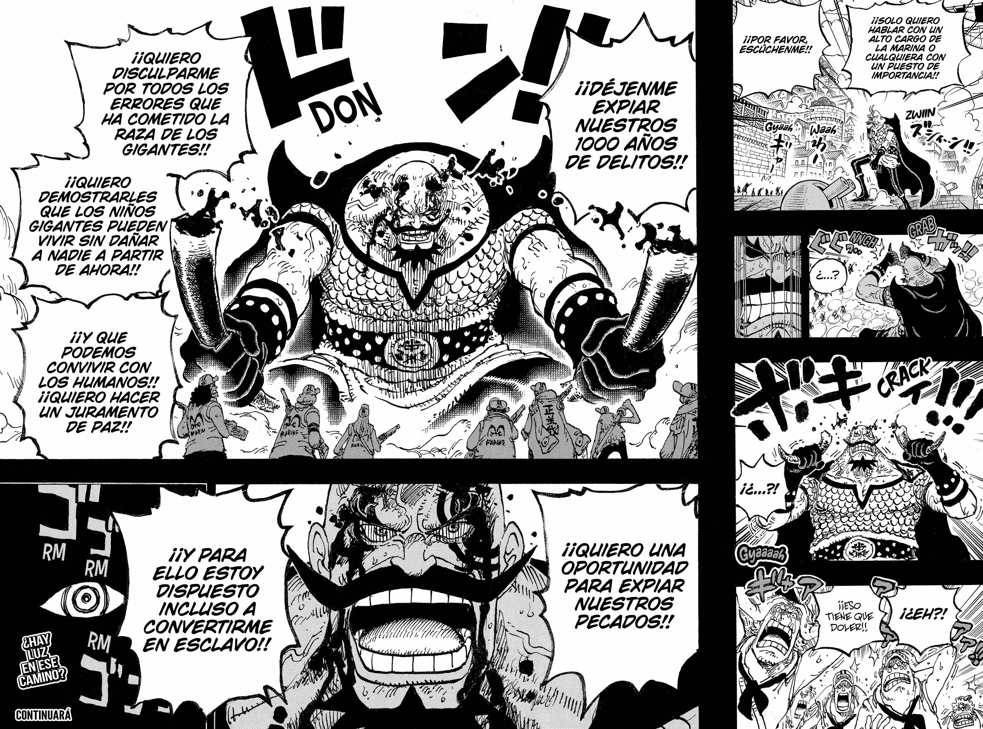 One Piece Capitulo 1166 página 15