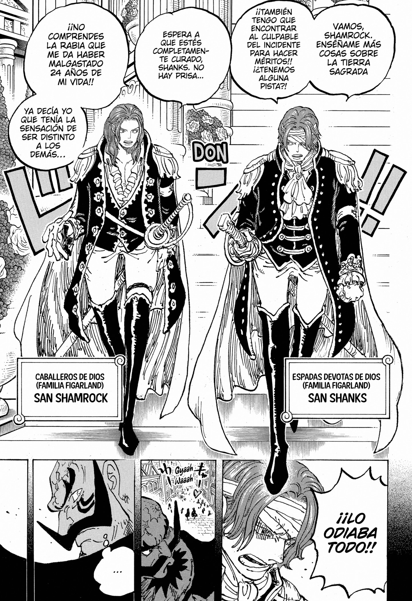 One Piece Capitulo 1167 página 13