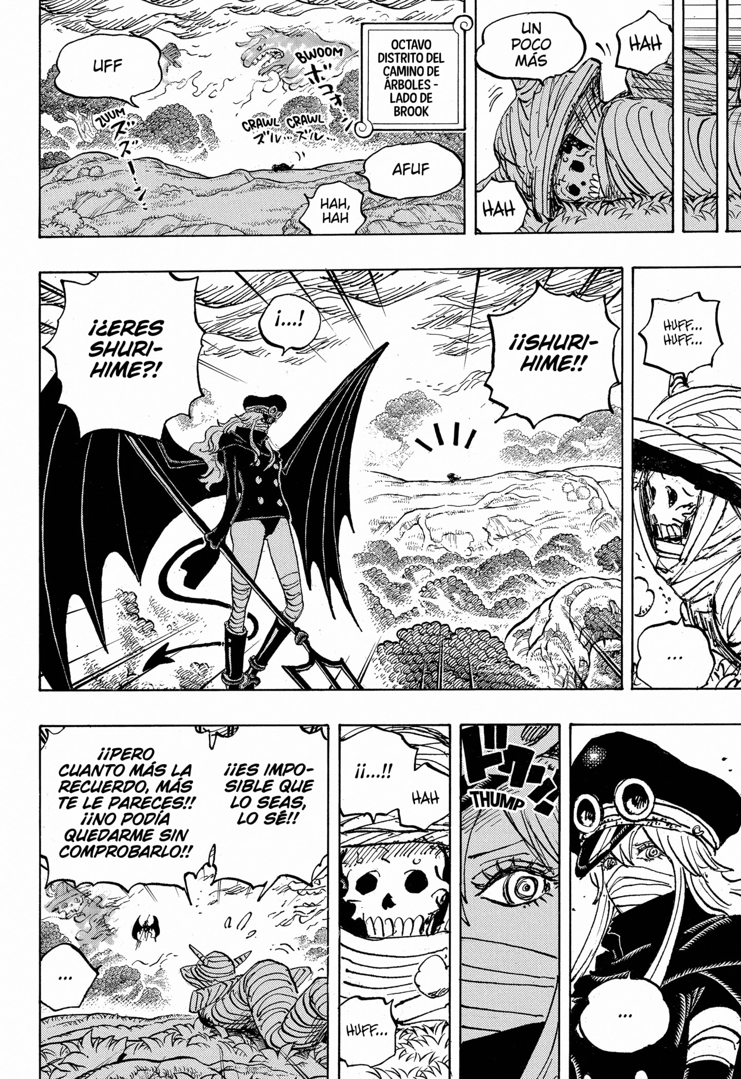 One Piece Capitulo 1173 página 5