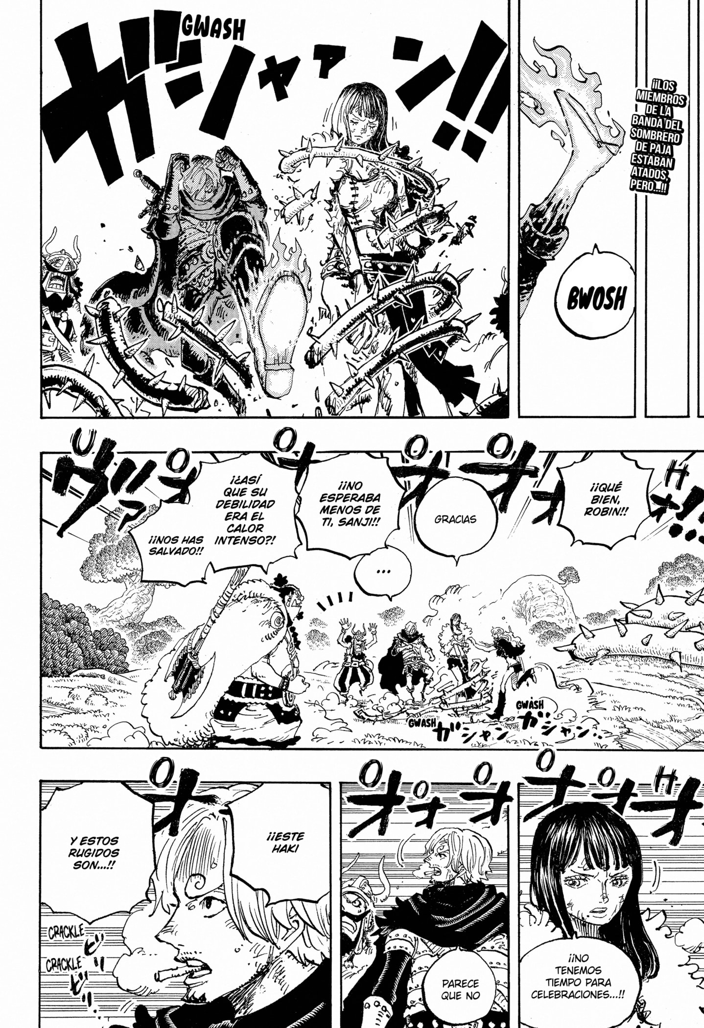 One Piece Capitulo 1175 página 2