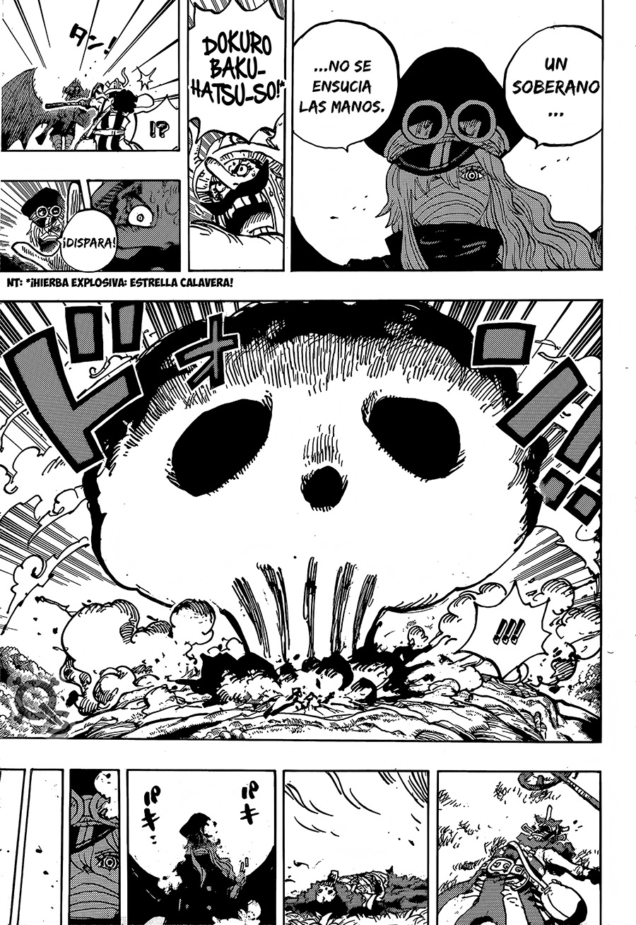 One Piece Capitulo 1177 página 15