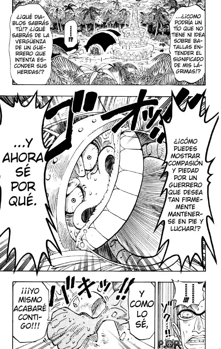 One Piece Capitulo 121 página 17