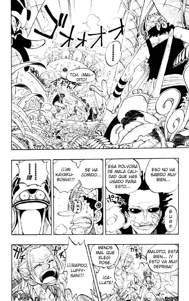 One Piece Capitulo 123 página 14