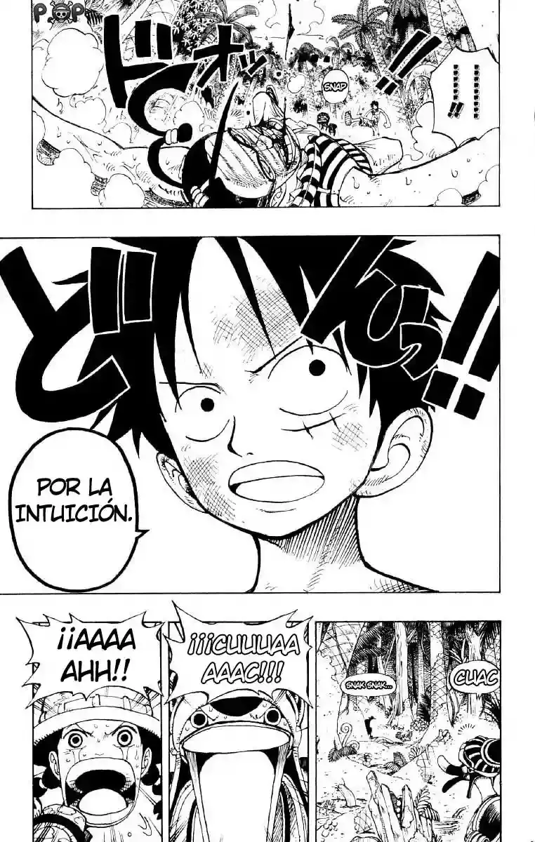 One Piece Capitulo 126 página 17