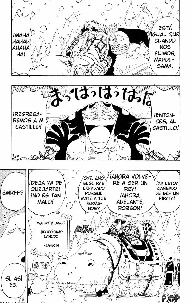 One Piece Capitulo 135 página 13