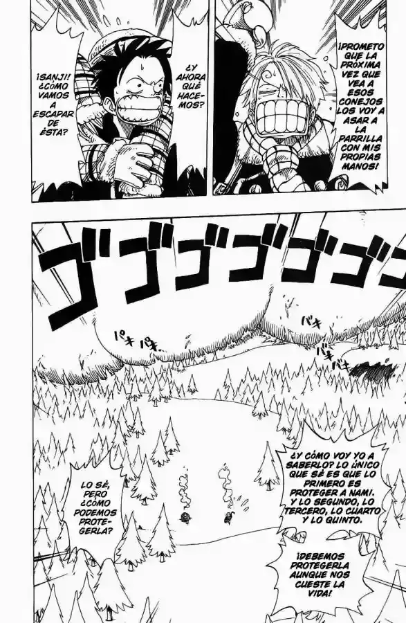 One Piece Capitulo 137 página 9