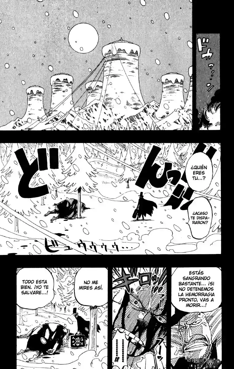 One Piece Capitulo 141 página 15