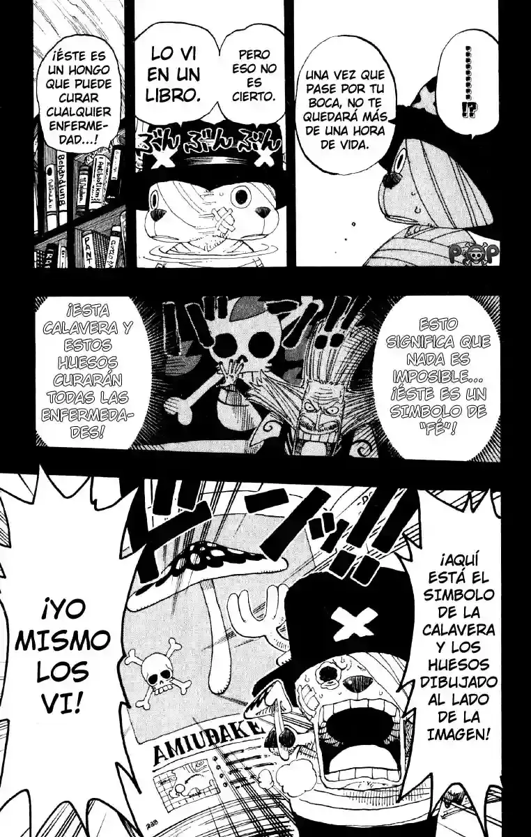 One Piece Capitulo 144 página 15