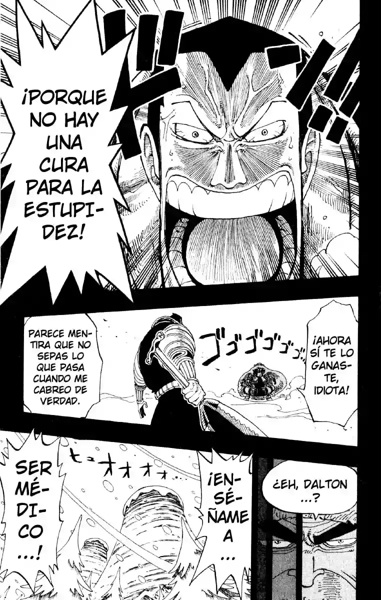 One Piece Capitulo 145 página 15