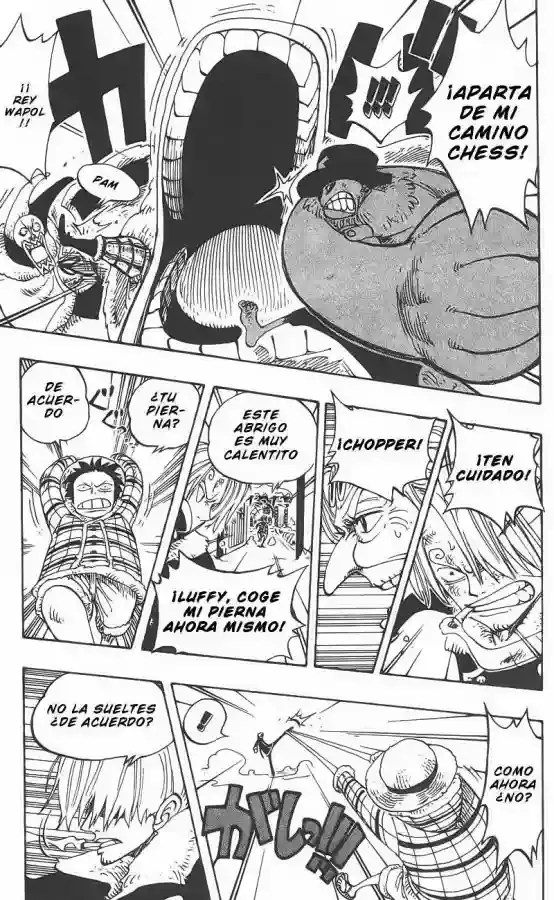 One Piece Capitulo 146 página 19