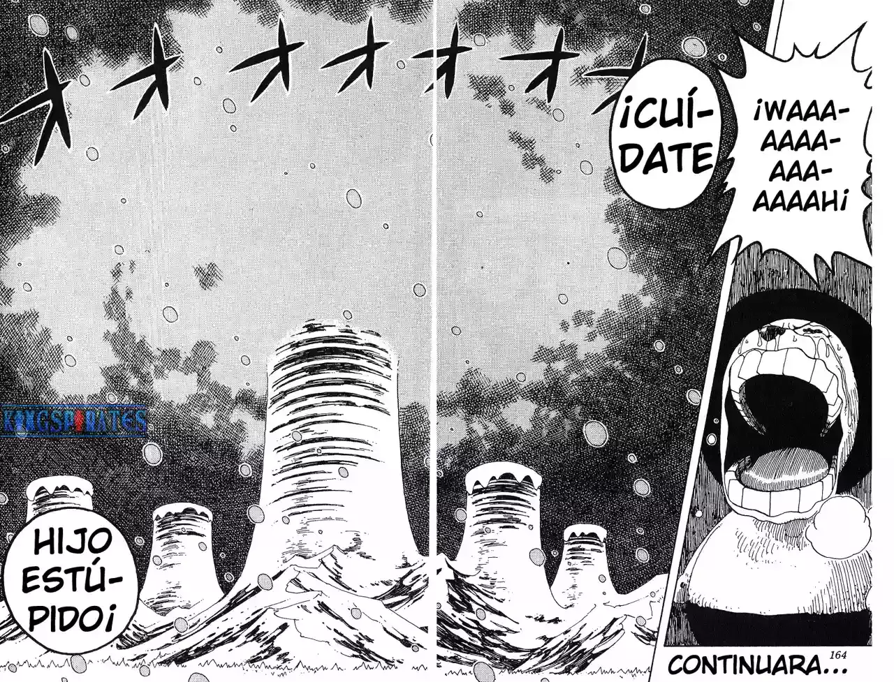 One Piece Capitulo 153 página 17