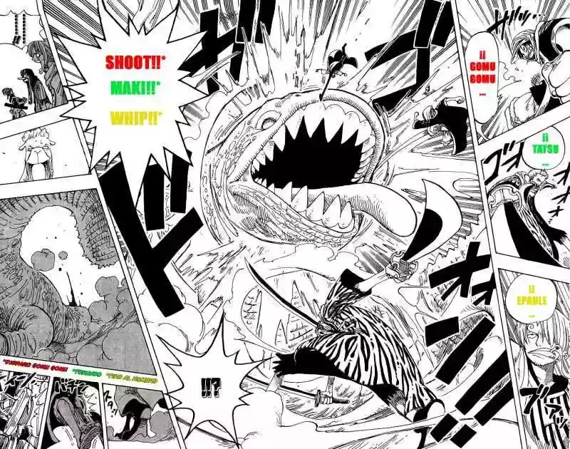 One Piece Capitulo 162 página 12
